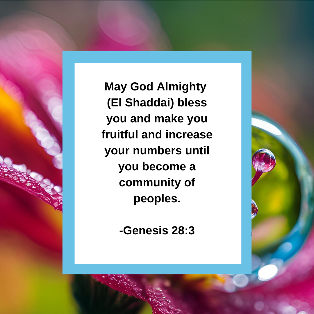 Boundless Blessings: Flourishing in the Favor of El Shaddai — WITH ...