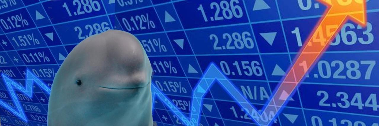 Smiling Dolphin Miharu Token Stock Charts