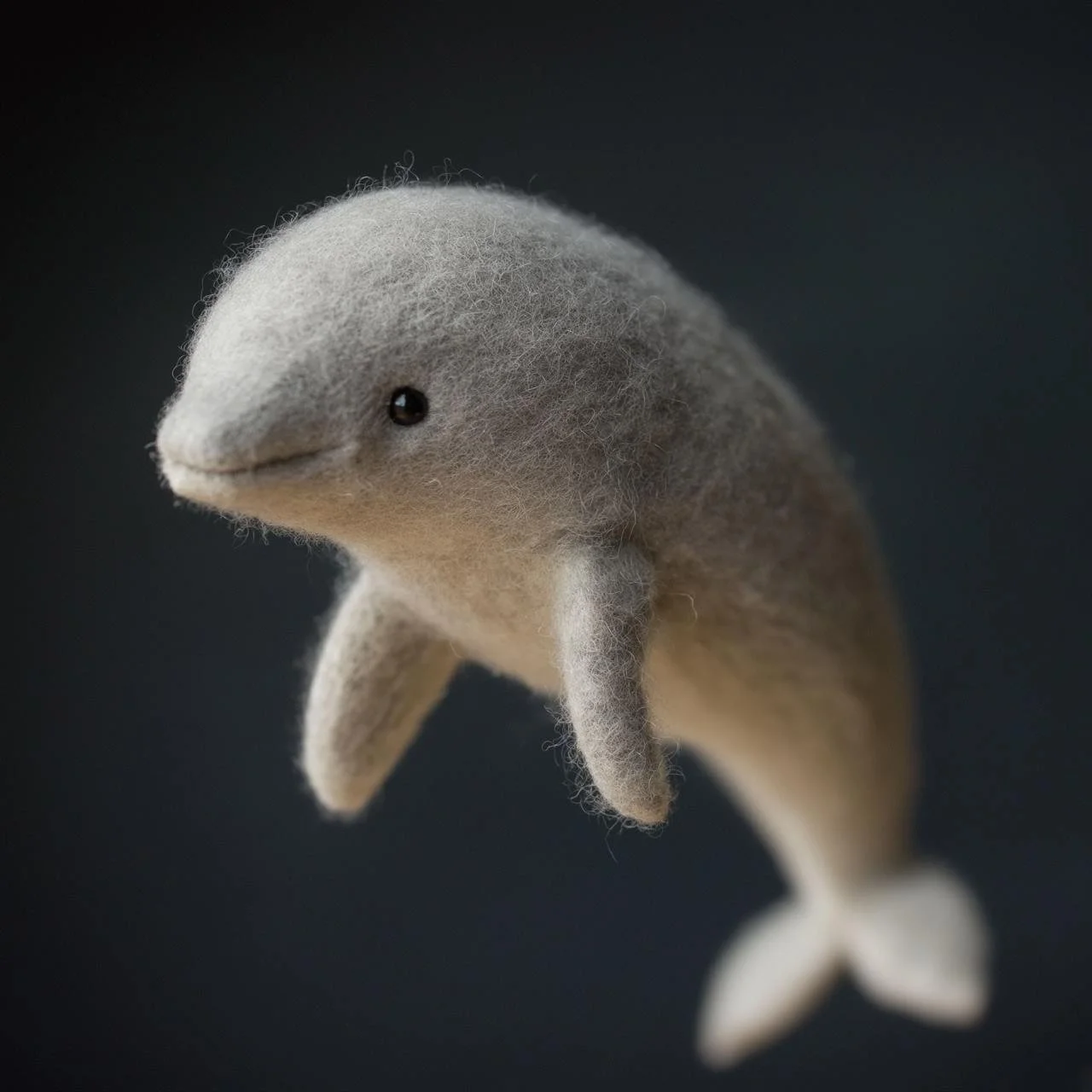 Smiling Dolphin Miharu Token