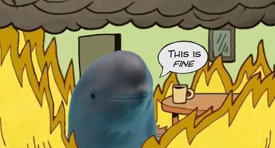 Smiling Dolphin Miharu Token This is Fine