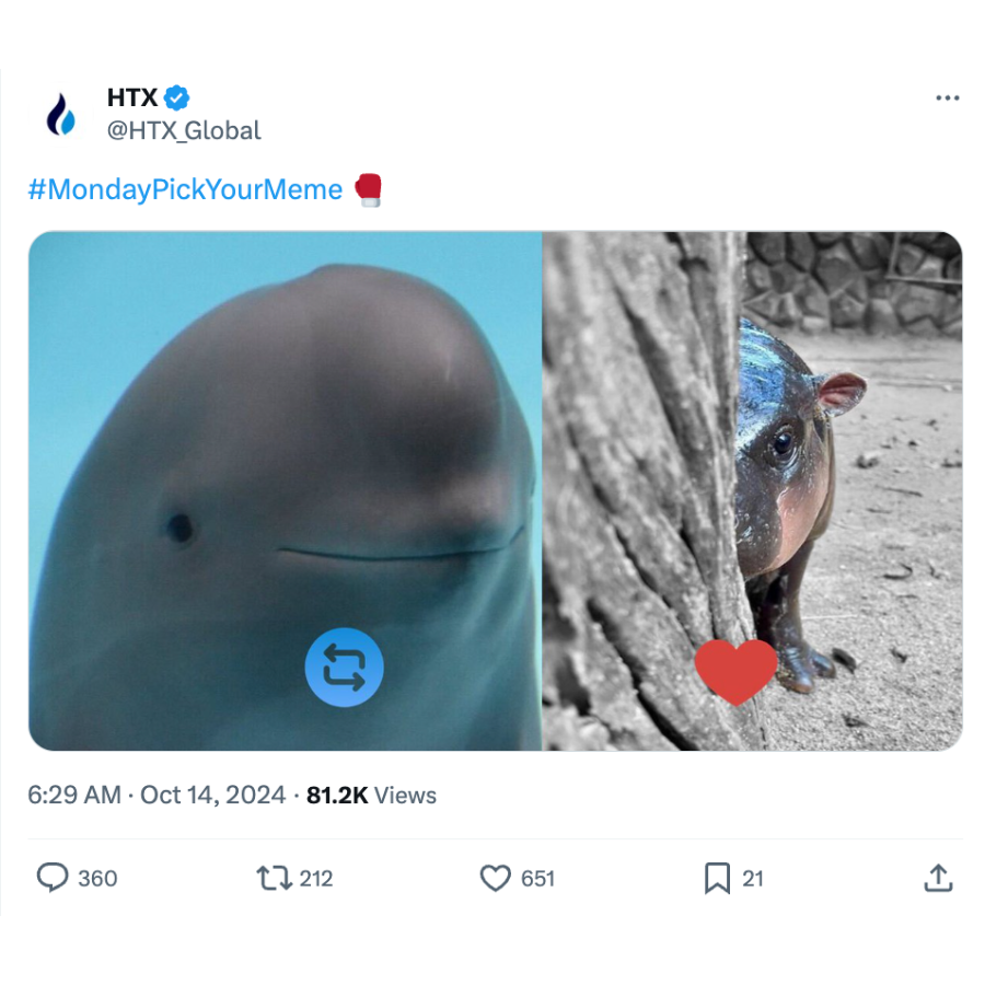 Yangtze smiling angel HTX