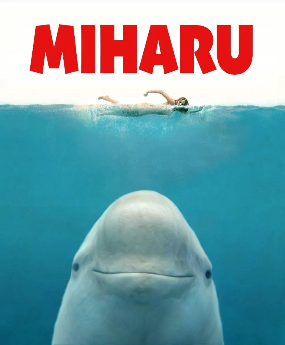 Smiling Dolphin Miharu Token Jaws