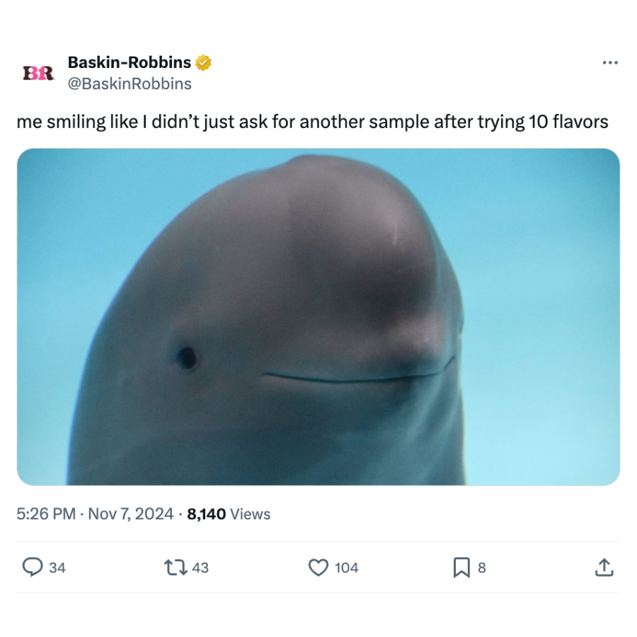 Chinese finless porpoise Baskin Robbins