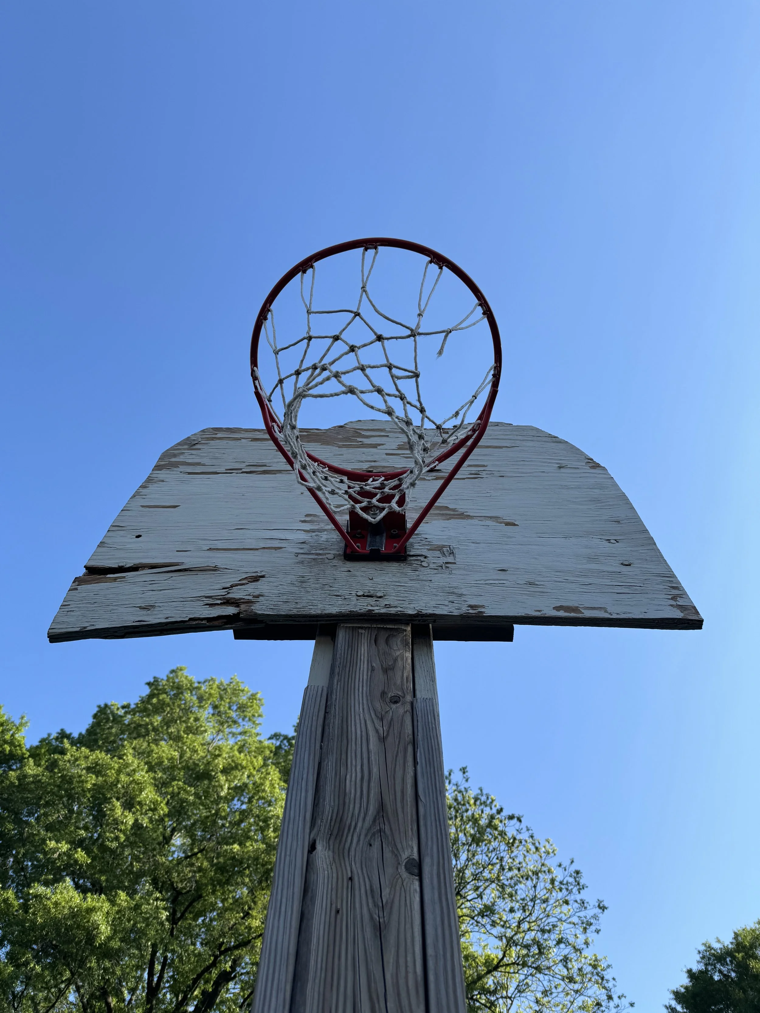 IMG_7239.jpeg