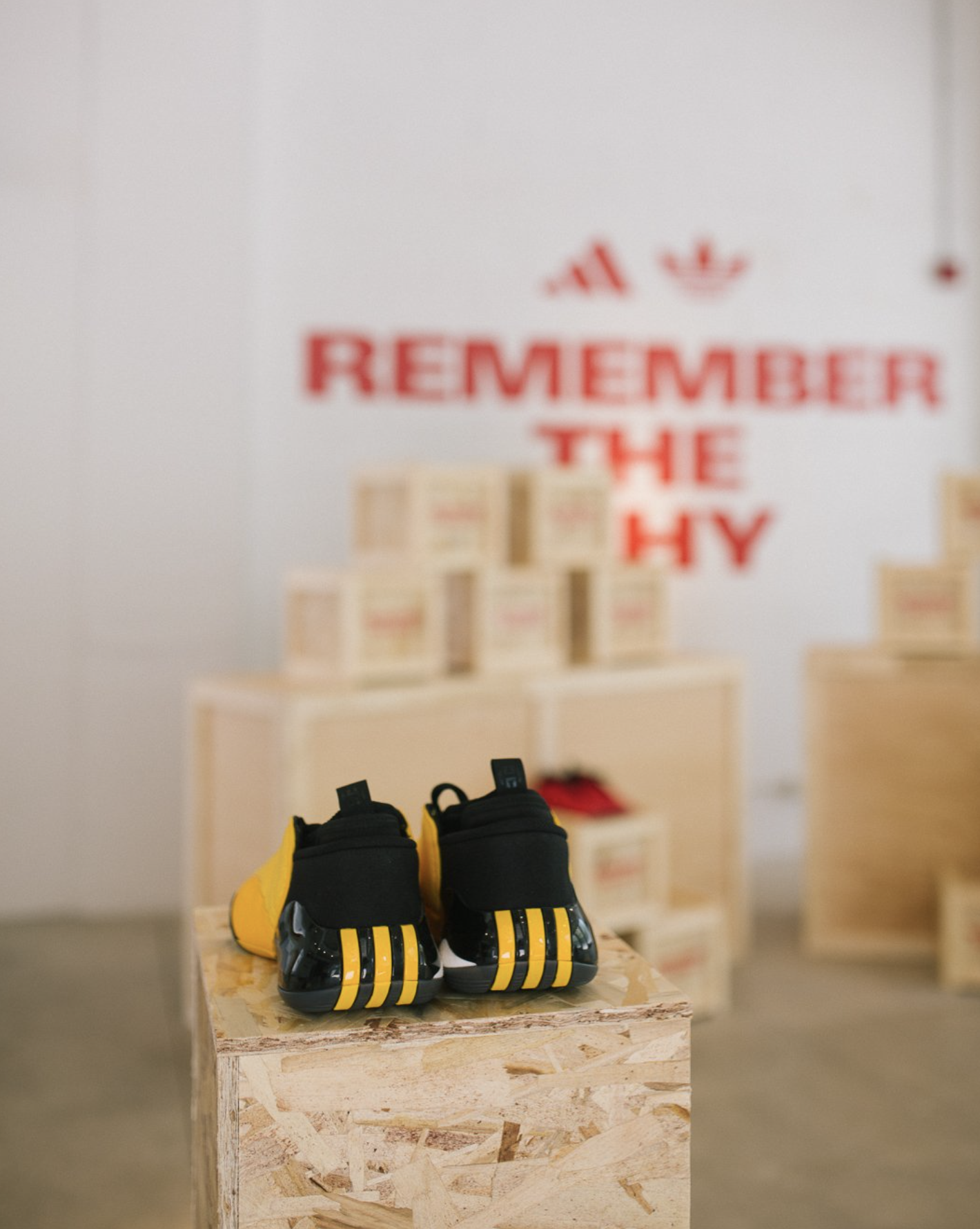 Screenshot 2024-10-15 at 11.45.36 AM.png