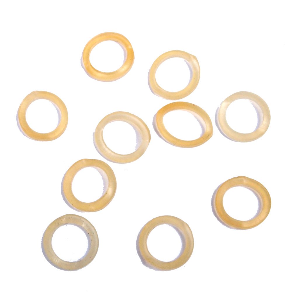 Elastic-Reed-1000x1000.jpg
