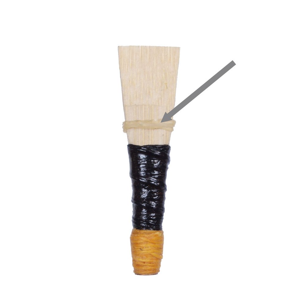 Elastic-Reed-2-1000x1000.jpg
