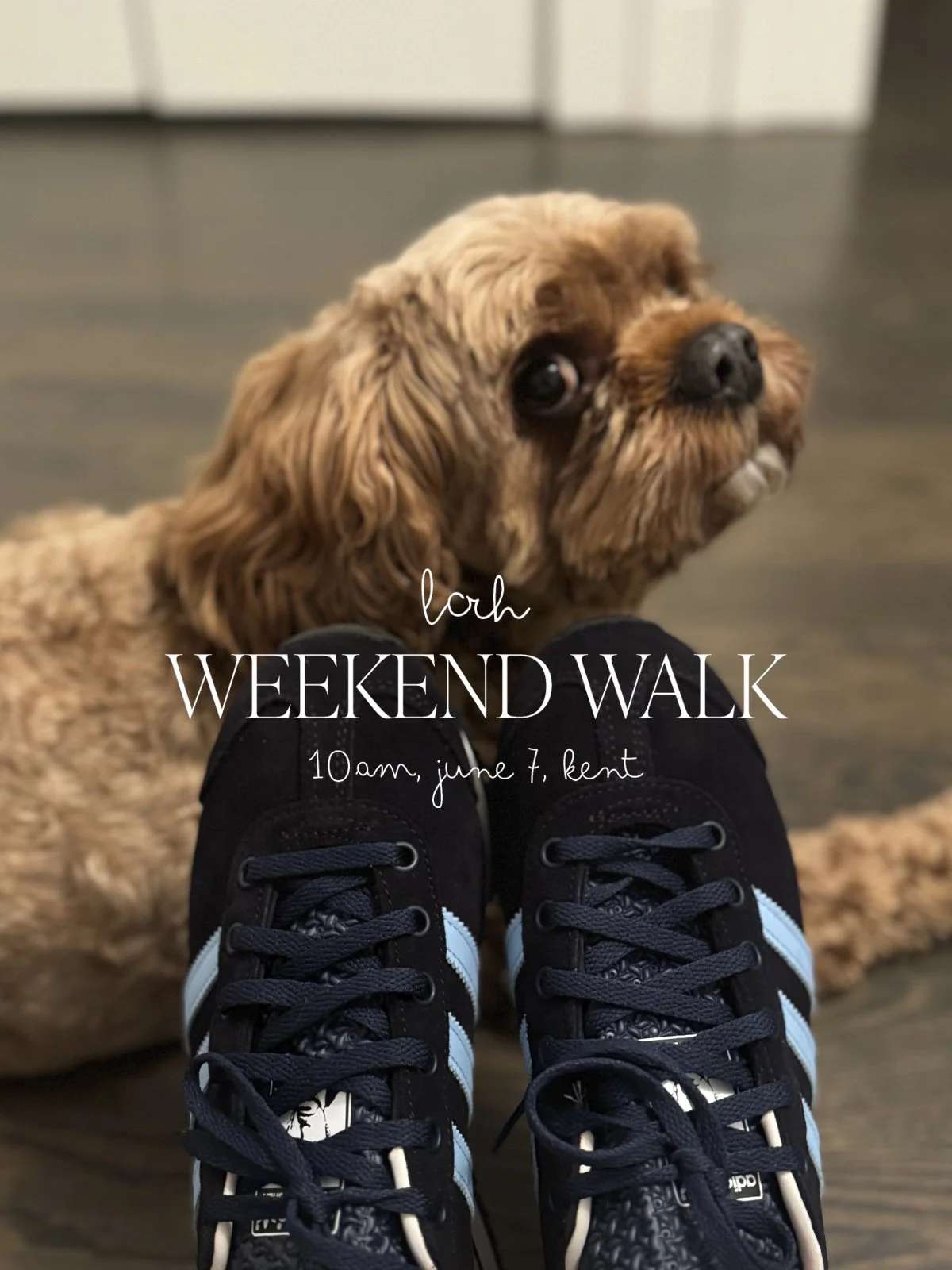 LCRH Weekend Walks
