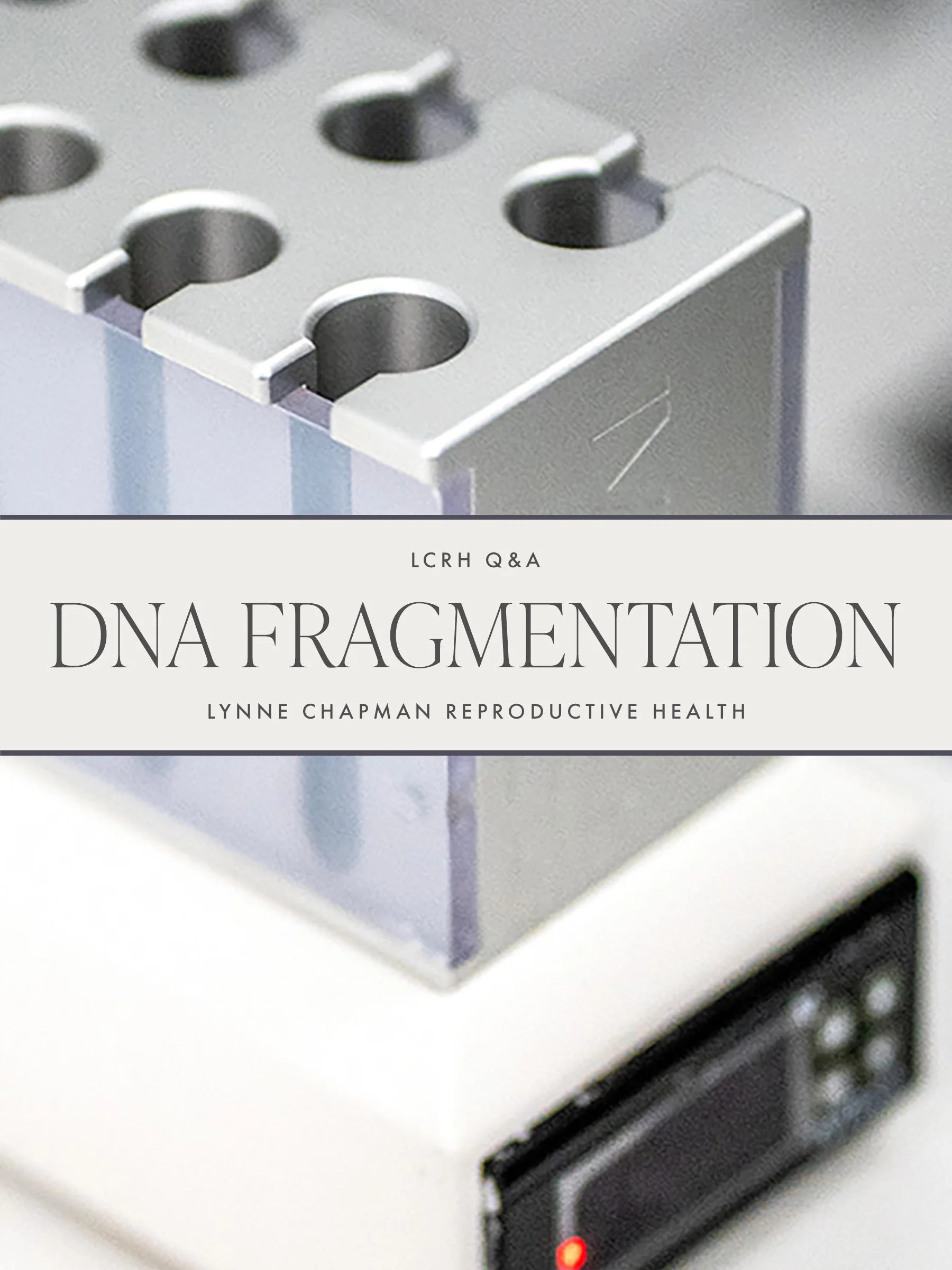 What is DNA Fragmentation Testing?