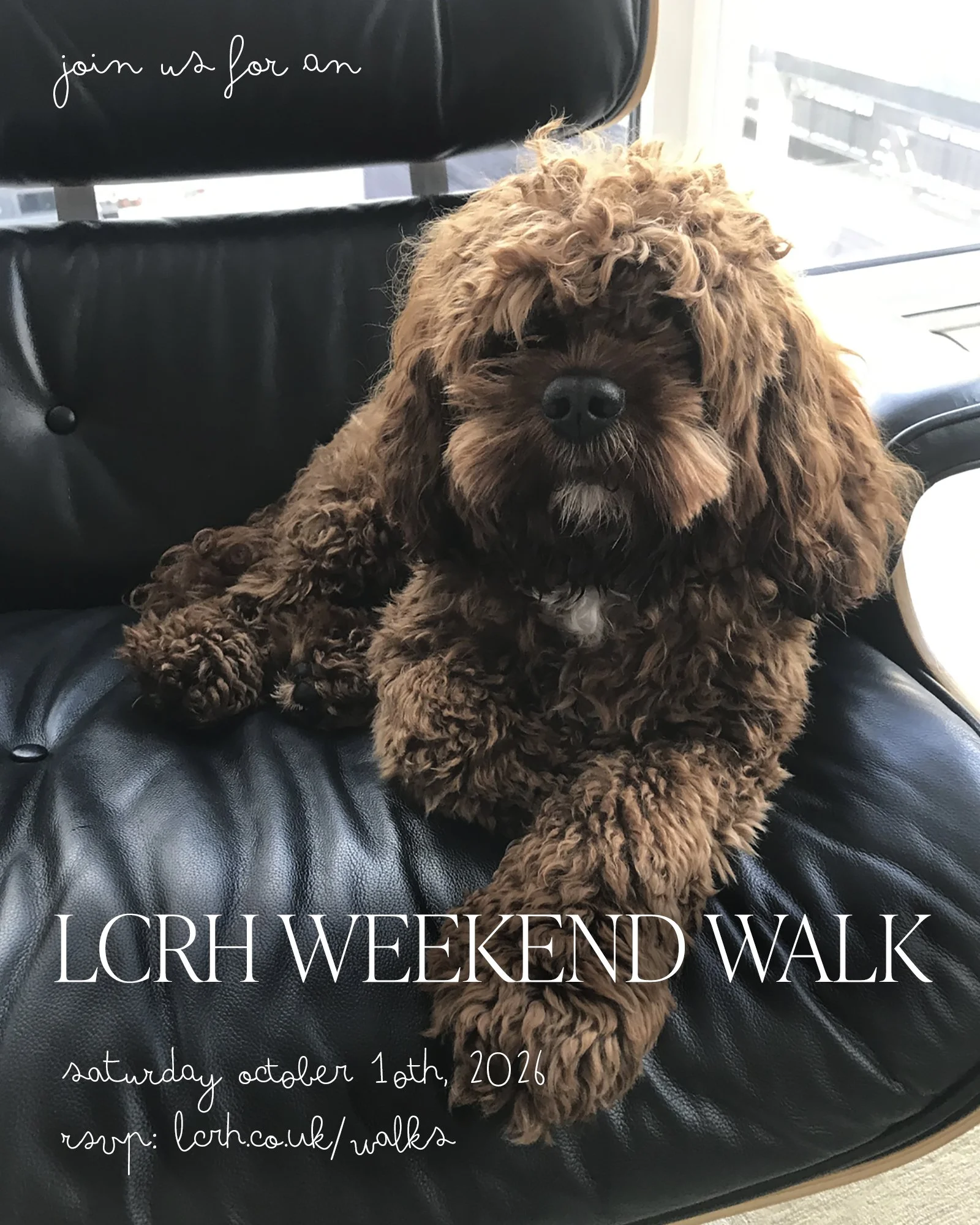 LCRH Weekend Walks