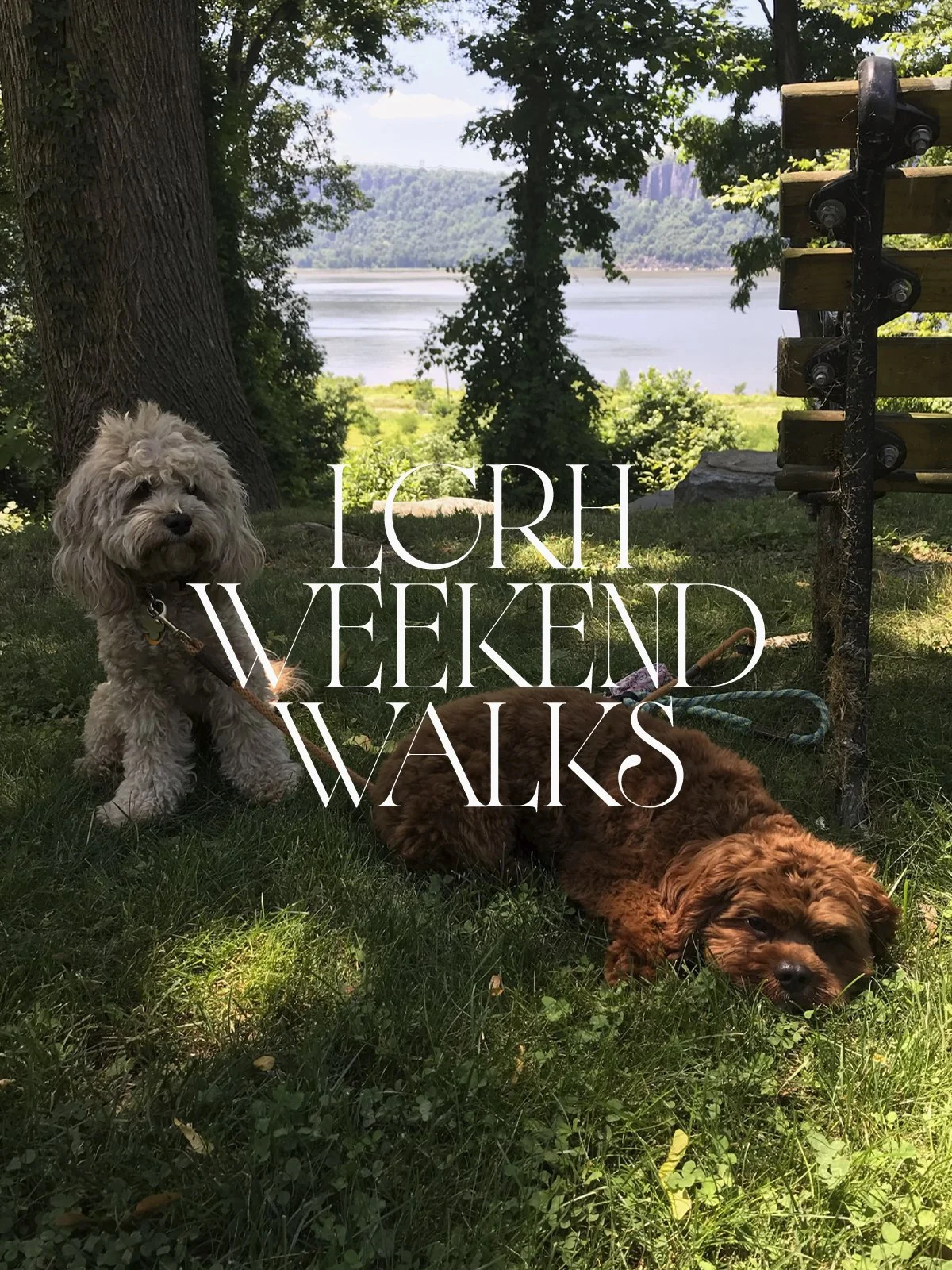 LCRH Weekend Walks
