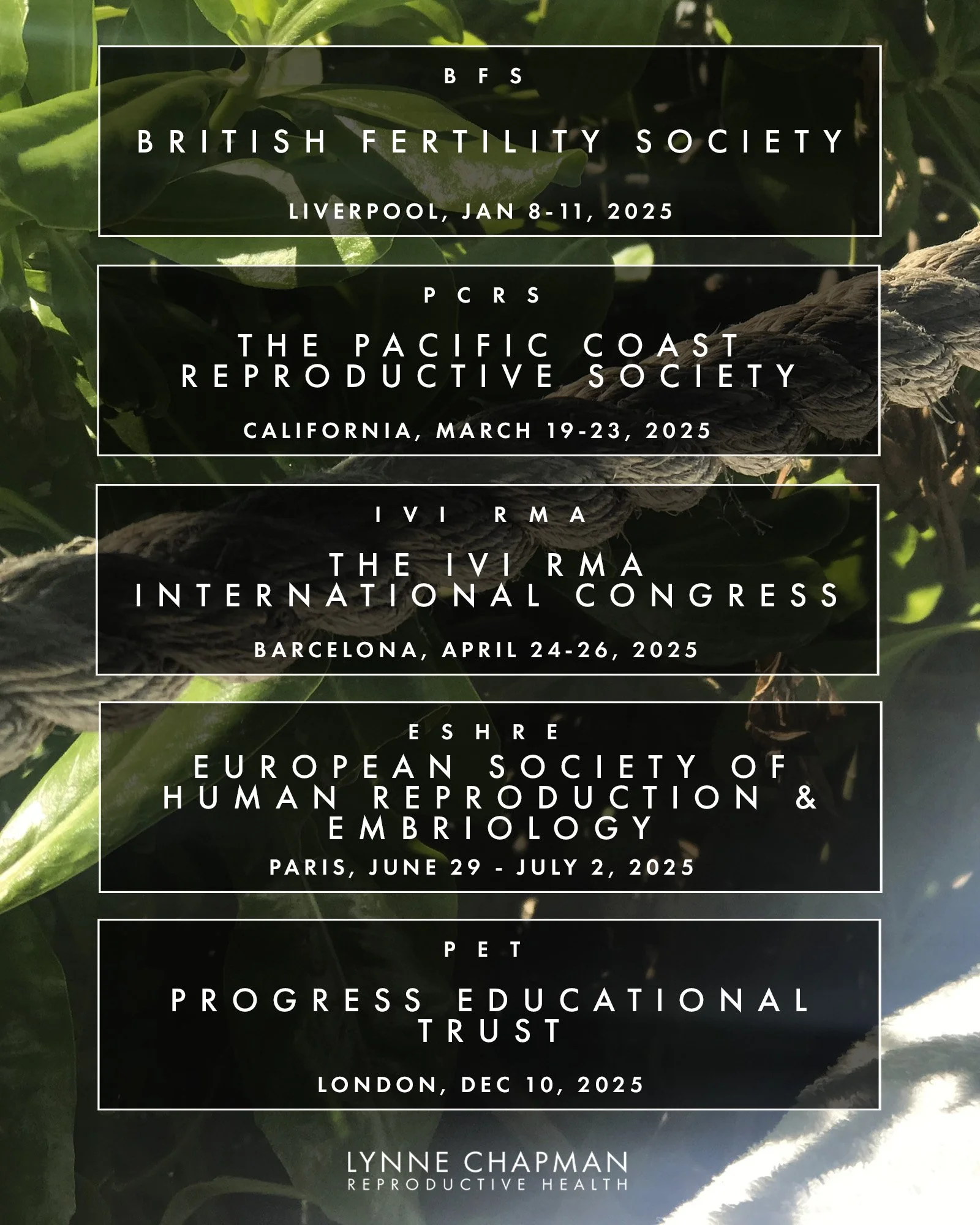 A Thank You to the Organisers and Contributors to the Events we Attended in 2025