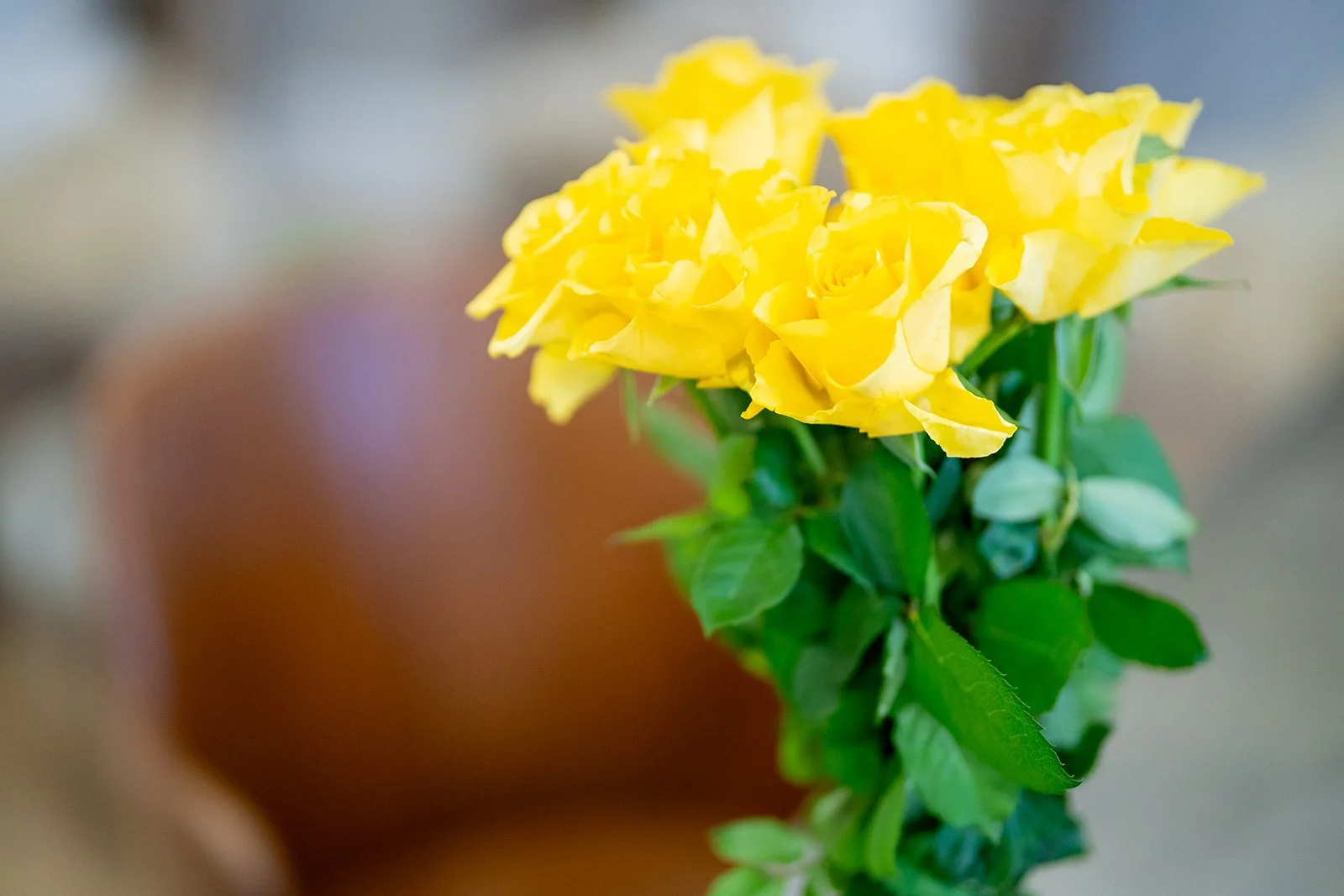 LCRH Provides access to counselling and support