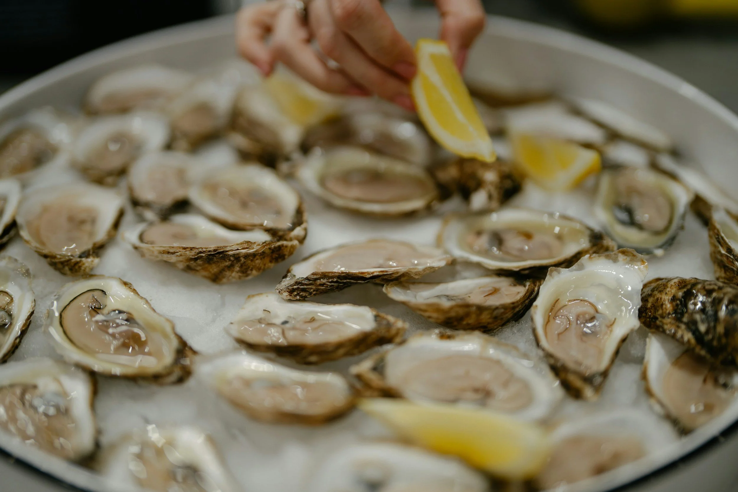 Fresh Gulf oysters on a platter with lemon being squeezed over them, showing their plump, briny profile