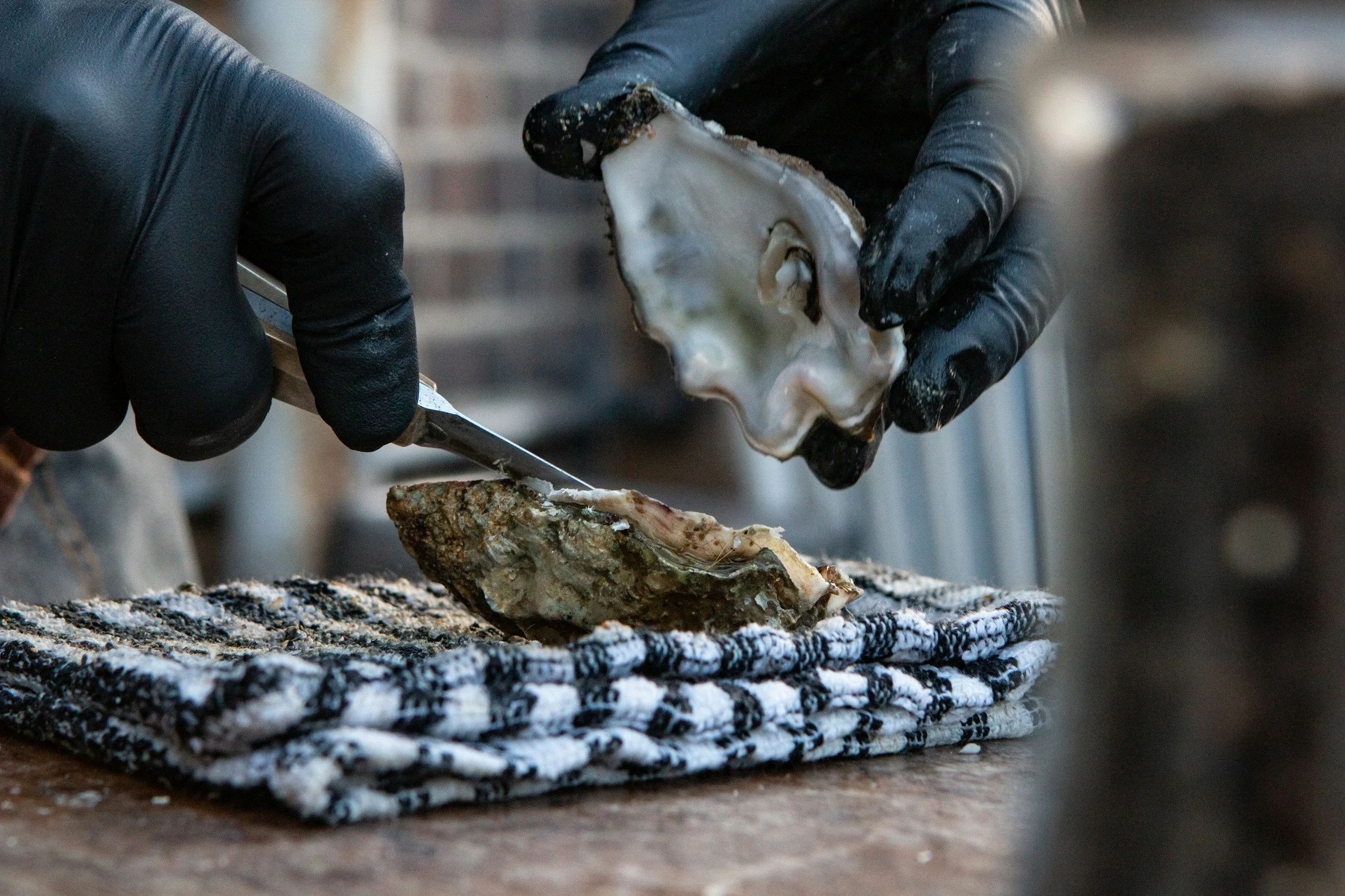 A gloved shucker opening a fresh oyster with a shucking knife, narrating the tasting for wedding guests in real time