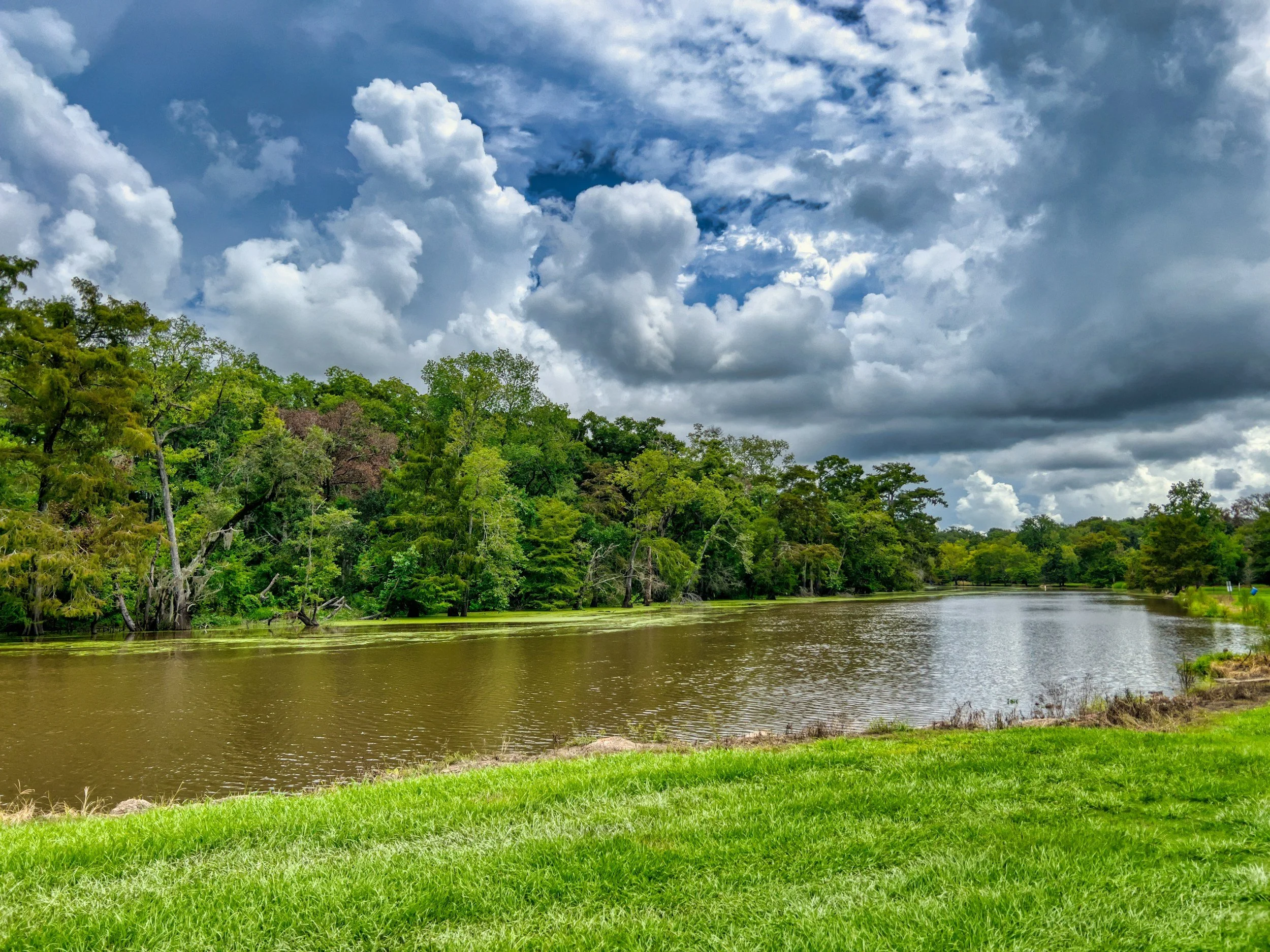 The Real History of the Viet-Cajun Boil