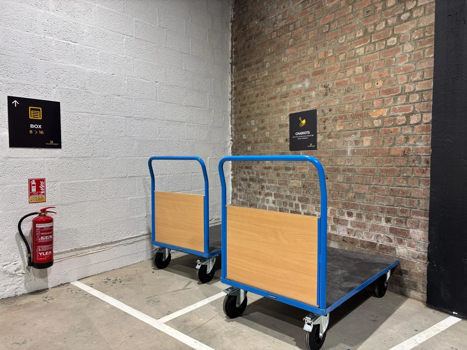 WhatsApp Image 2025-05-14 at 12.20.41.jpeg