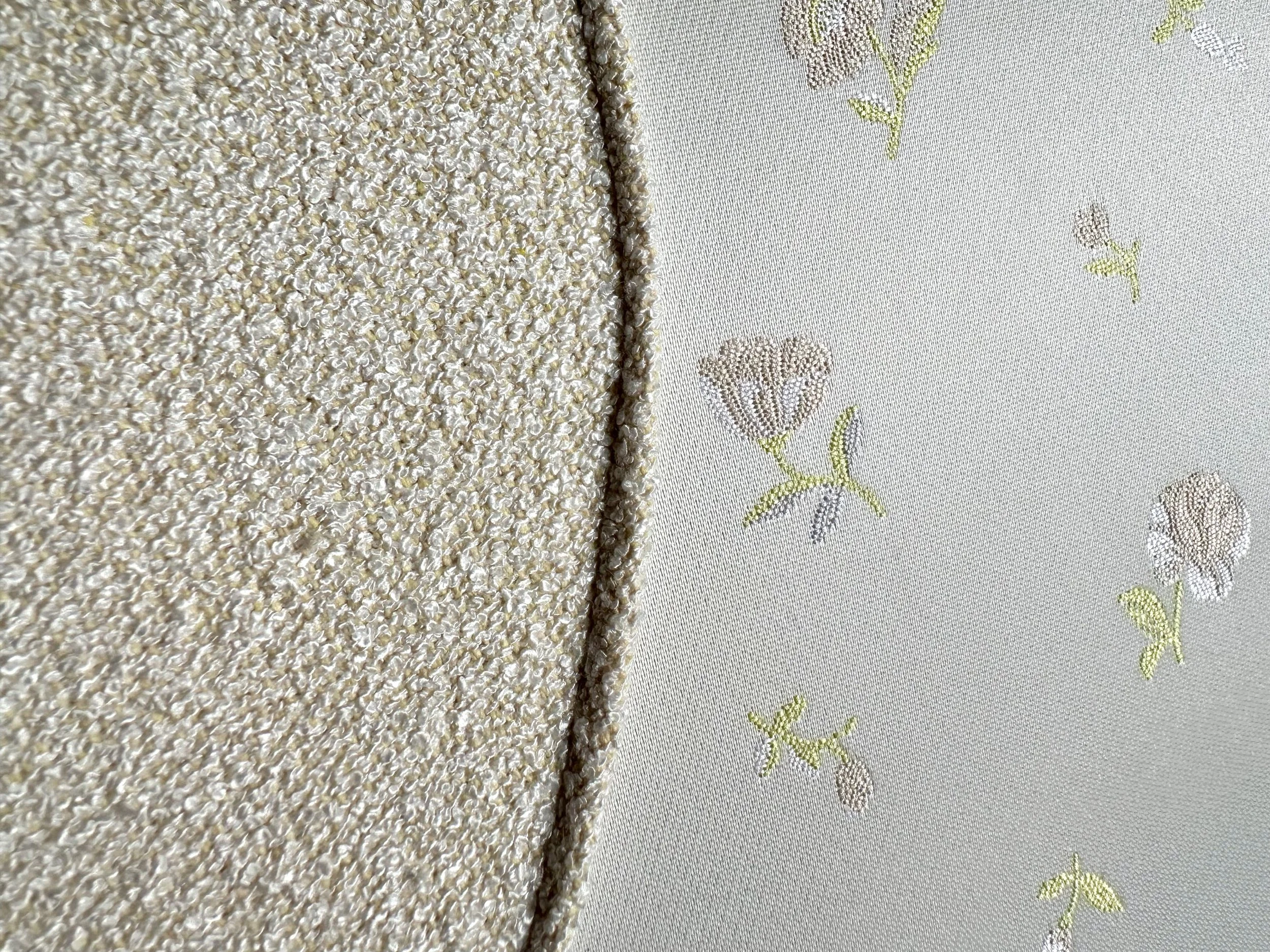 VIRGIN SUICIDE 2.jpeg