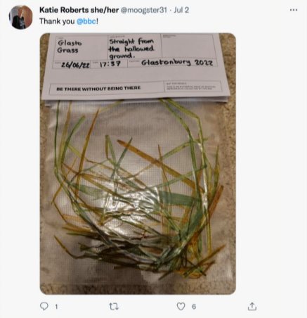 7.+GLASTO+GRASS2.png