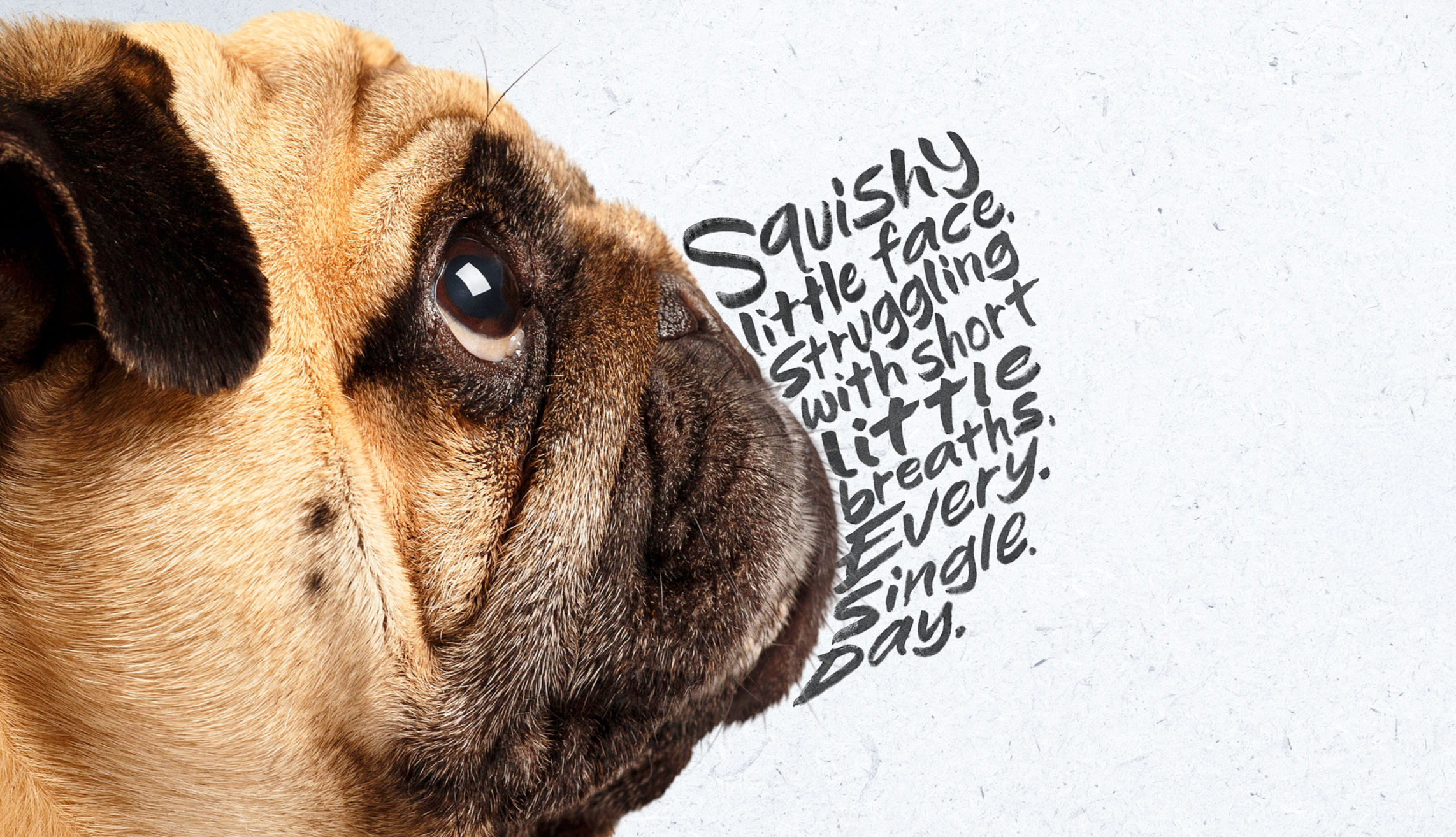 Battersea: See What You Don't See