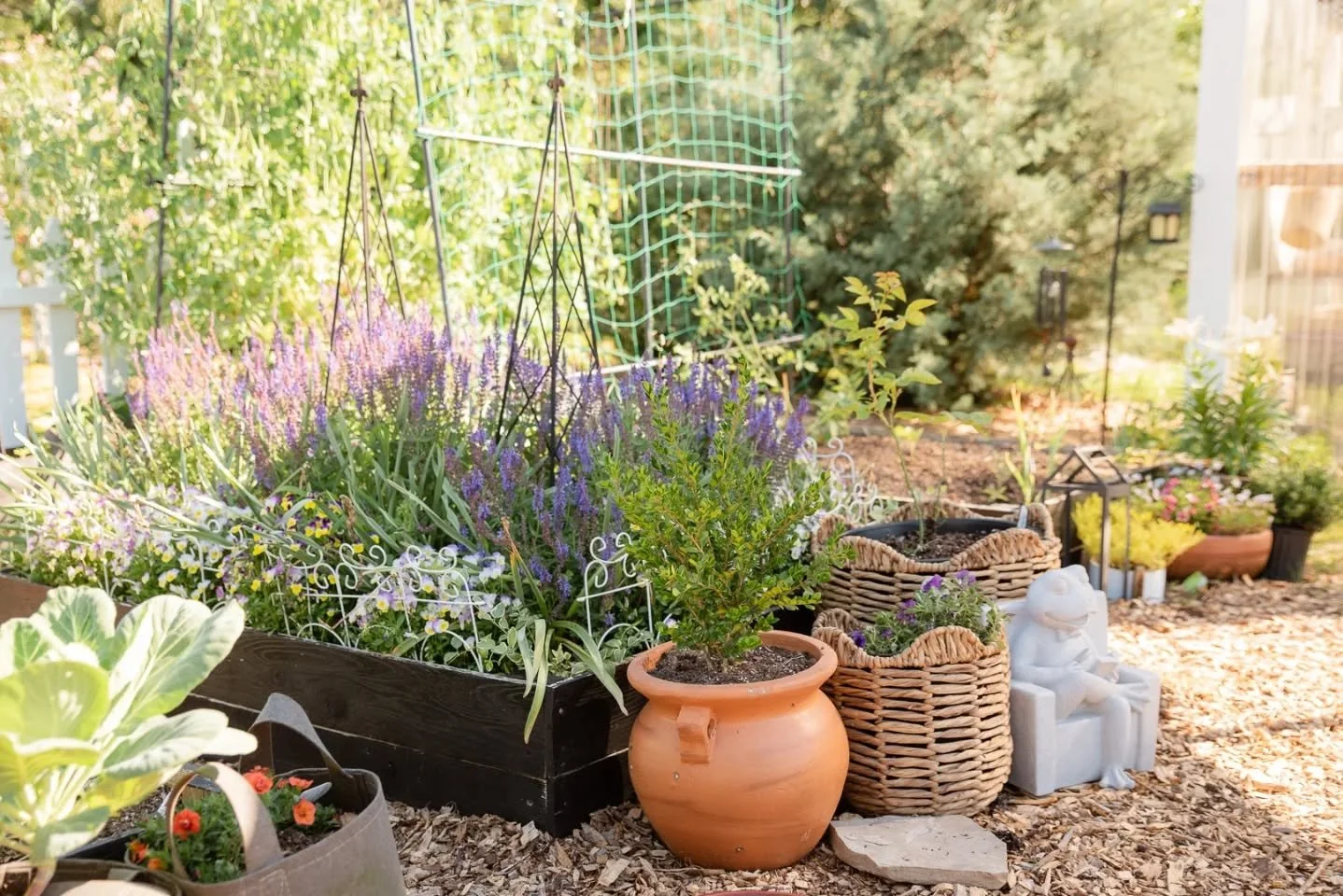 One of my favorite things about gardening is being able to dot shades of my favorite color around the garden!  Can you tell what it is based on these photos? 👀

Also, I've come to the conclusion that my garden looks the best in Spring &amp; maybe ea
