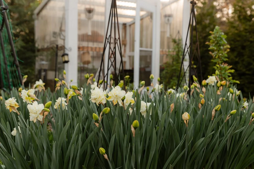 Spring Garden End of March (17 of 22).jpg