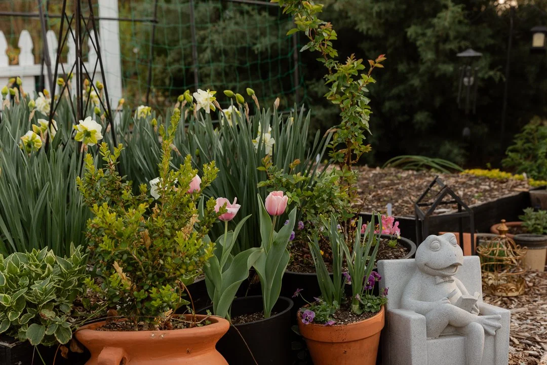 Spring Garden End of March (16 of 22).jpg