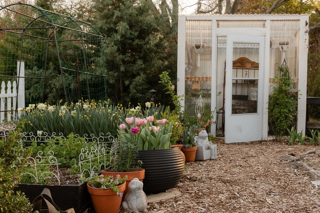 I Planted 700 Spring Bulbs Last Year