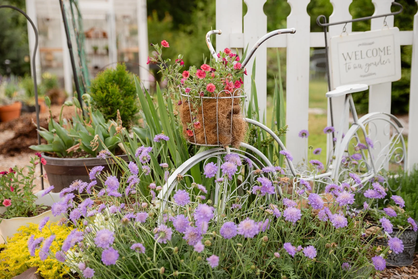 Garden End of April-1.JPG