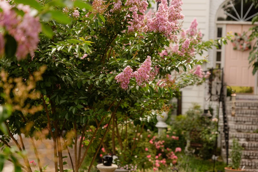 Front Garden Walkthrugh (1 of 3).jpg