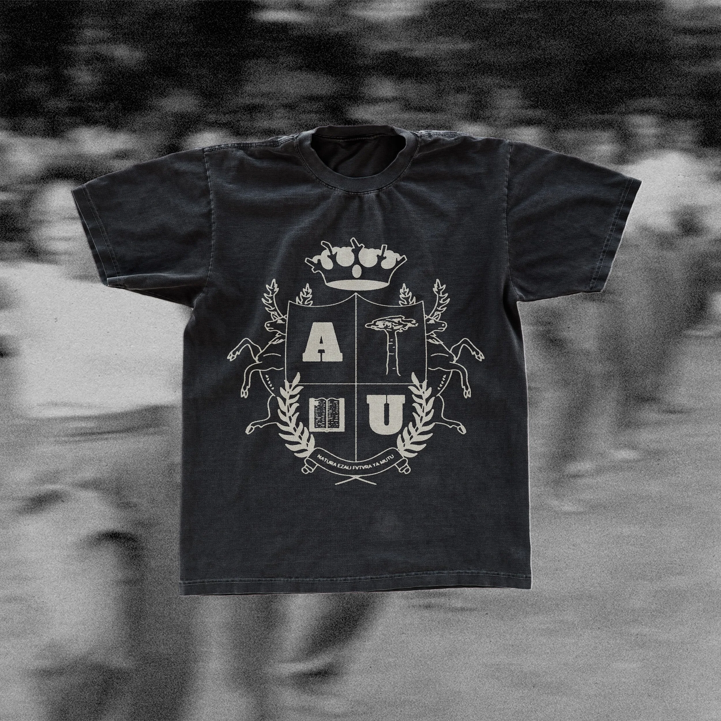 Design d'un blason pour l'identité visuelle d'une marque de vêtement