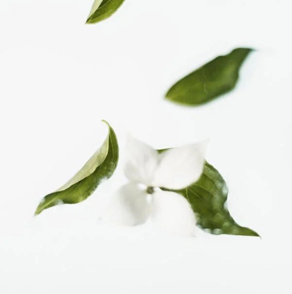 Maria Enger ger Helena Palmgren bästa referenser som oberoende pensionsspecialist och lärare vid IFU diplomutbildning av rådgivare.