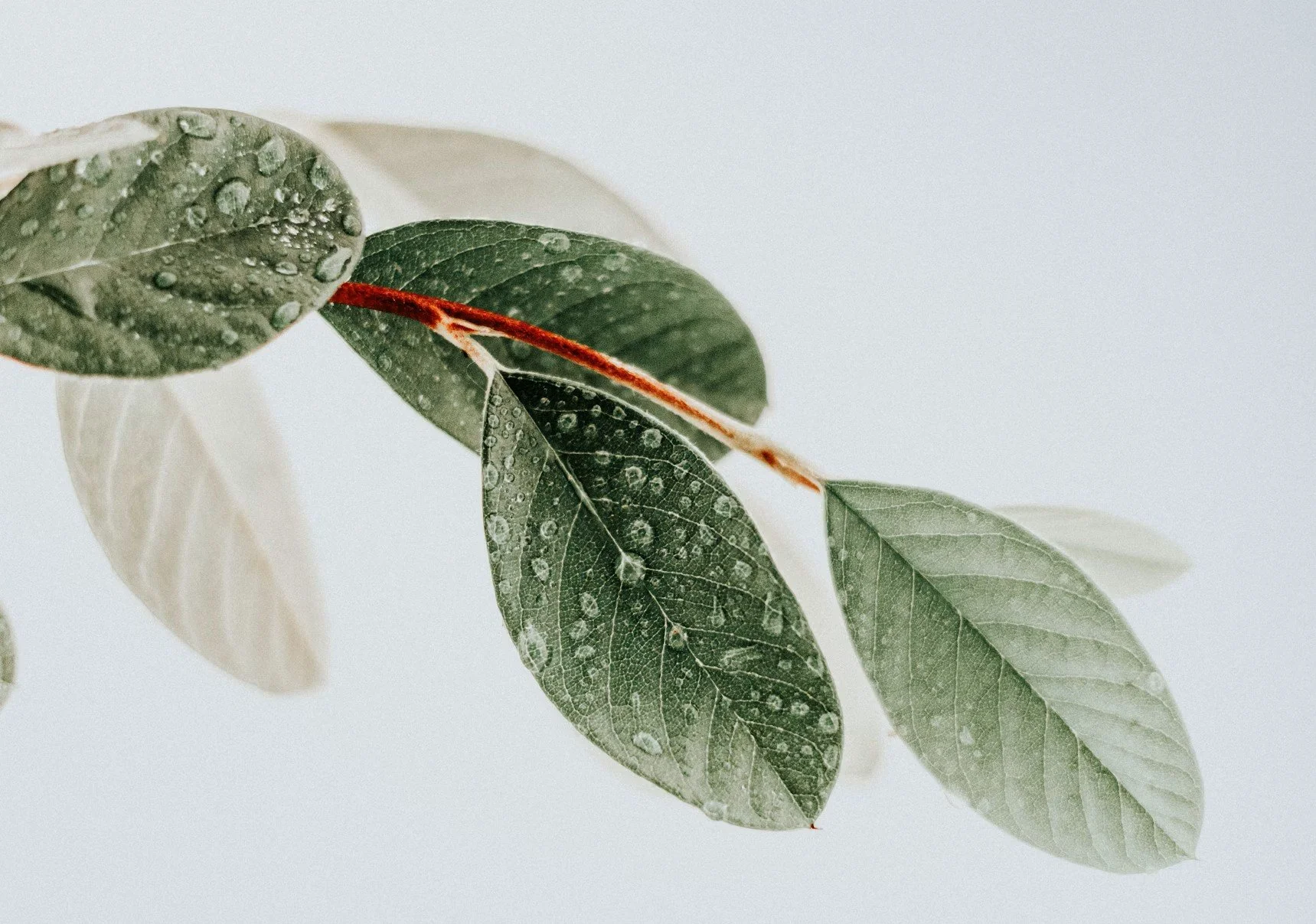 Emilie Andersson, medgrundare Lysa ger Helena Palmgren rekommendationer för sin kunskap i pension och sparande.