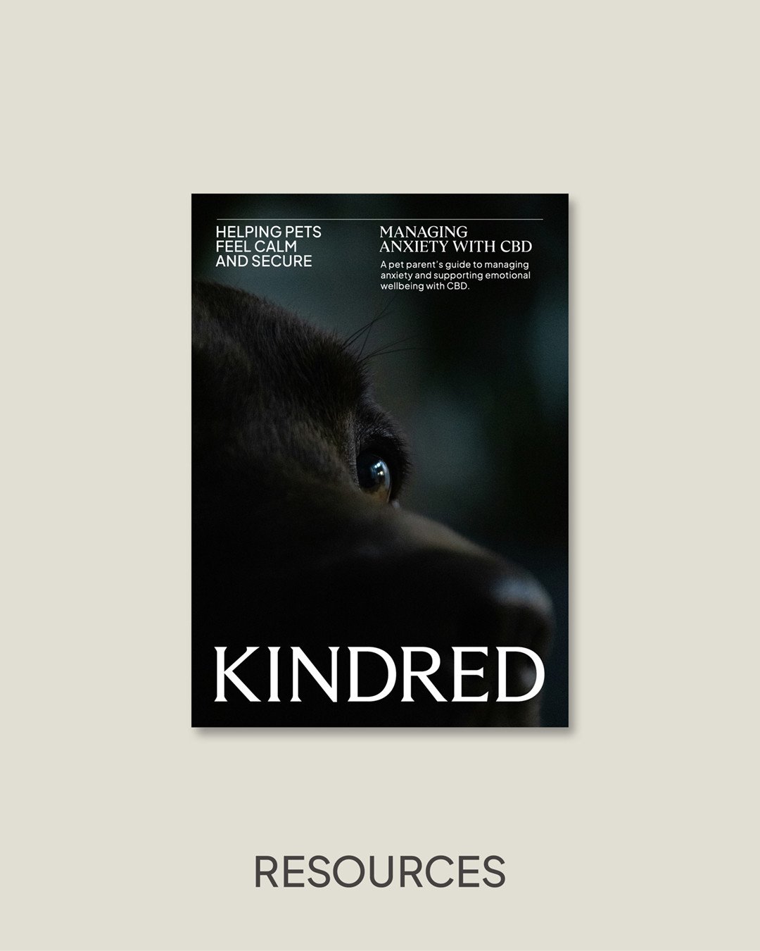 A pet parent's guide to supporting their anxious pets with CBD oil. Get your free ebook today under the Resources tab on our website. Link in bio.⁠
⁠
@kindredcbd #GiftOfWellness #PetCareMadeEasy #DogTreats #CatTreats #PetCBD #PetSupplements #PetHealt