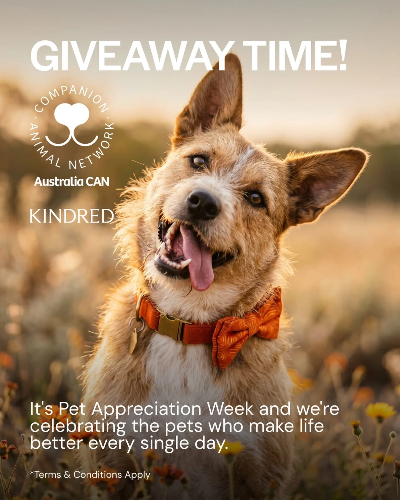 KINDRED X Companion Animal Network Australia

GIVEAWAY! 🎁

*Enter before midnight on Sunday* 

It&rsquo;s Pet Appreciation Week and we&rsquo;re celebrating the pets who make life better every single day. 🫶

We&rsquo;ve teamed up with @australia_can