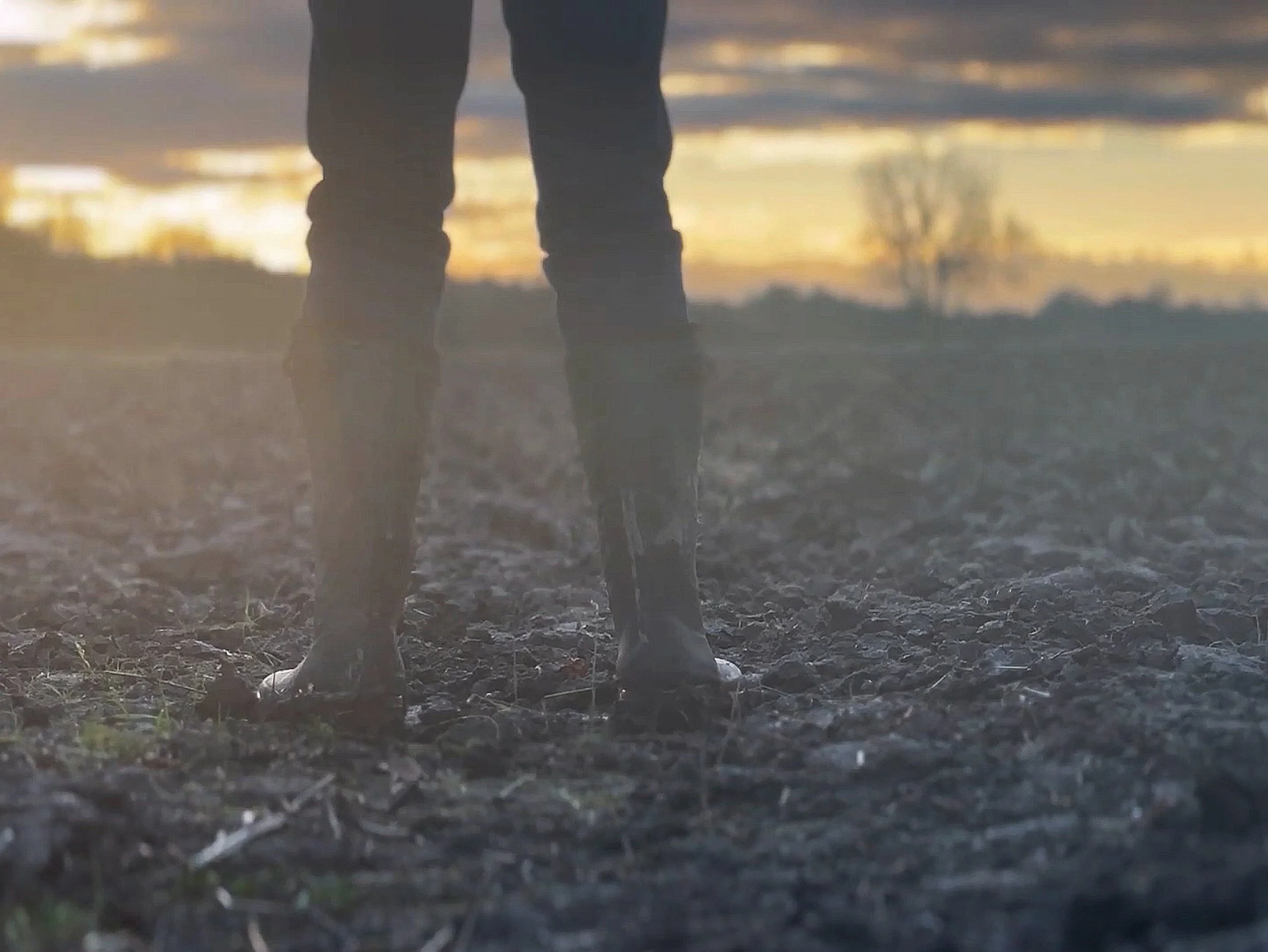 The Wee Blue Blossom - Project