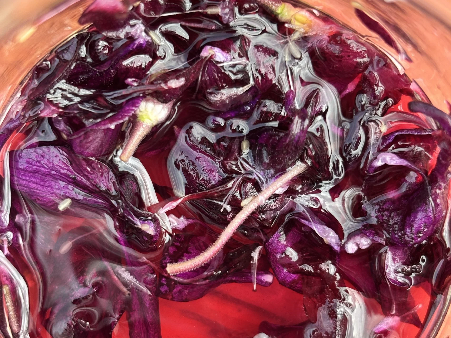 Claudy Jongstra - Invited Learning