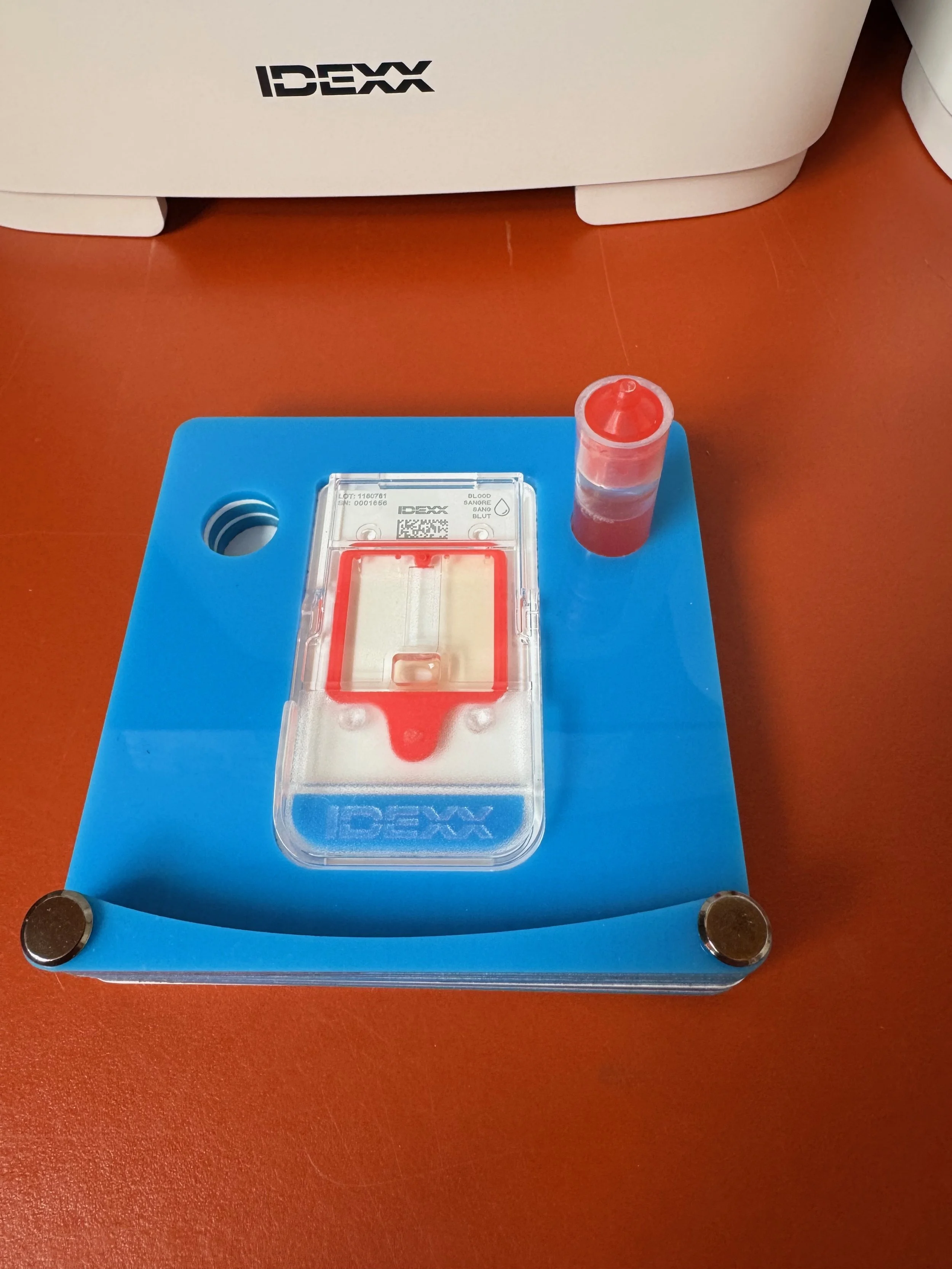 IDEXX Invue DX Sample Prep Tray