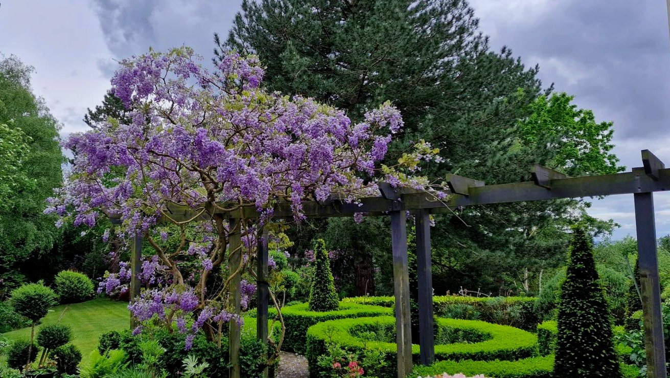 Caldy Open Gardens 2025