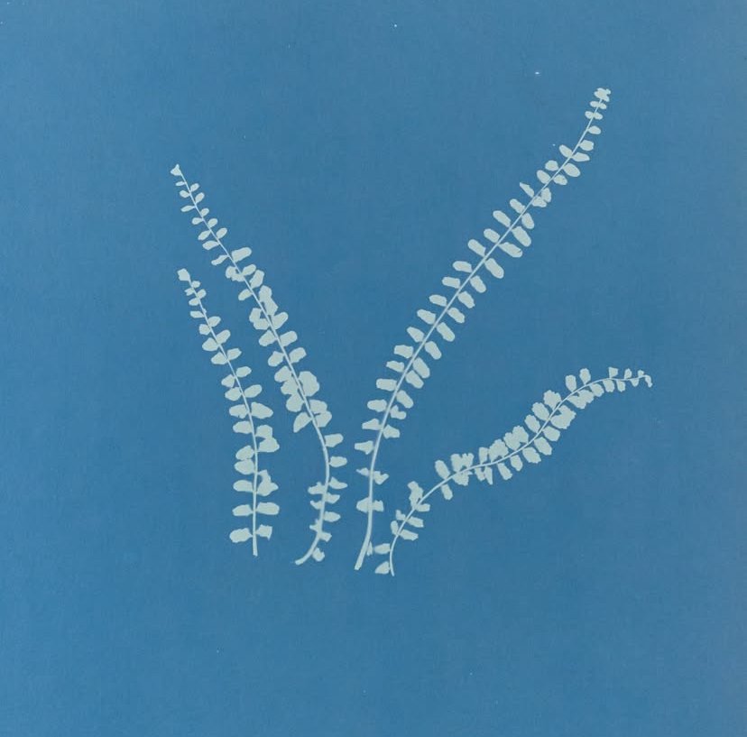 get use to self-expression