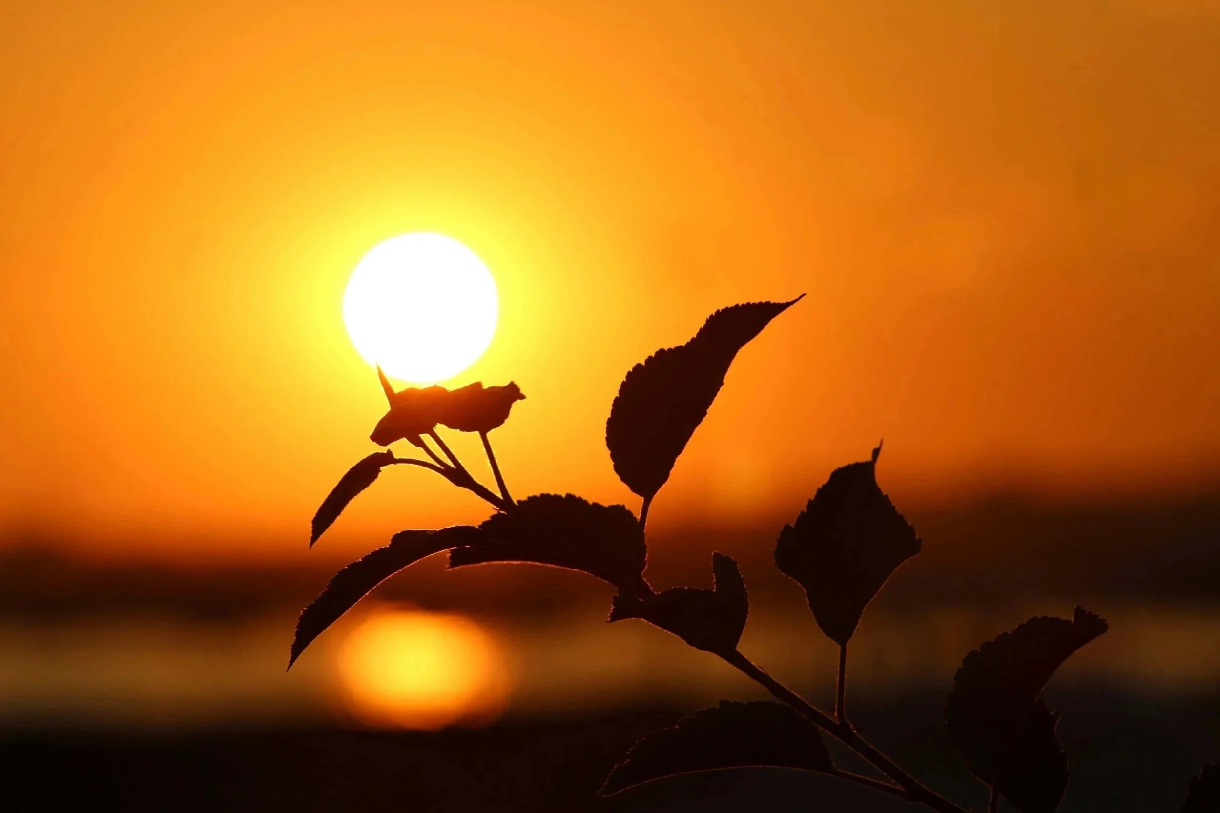 The Threshold of Summer’s End
