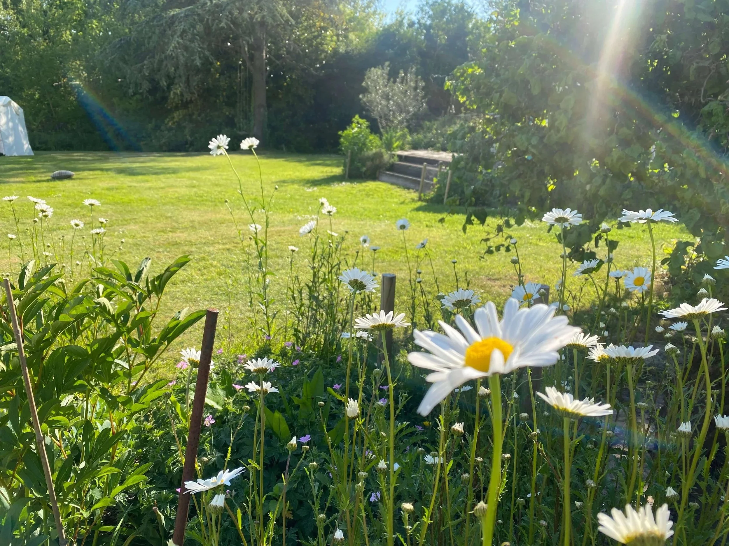 Afternoon of Yoga & Nature