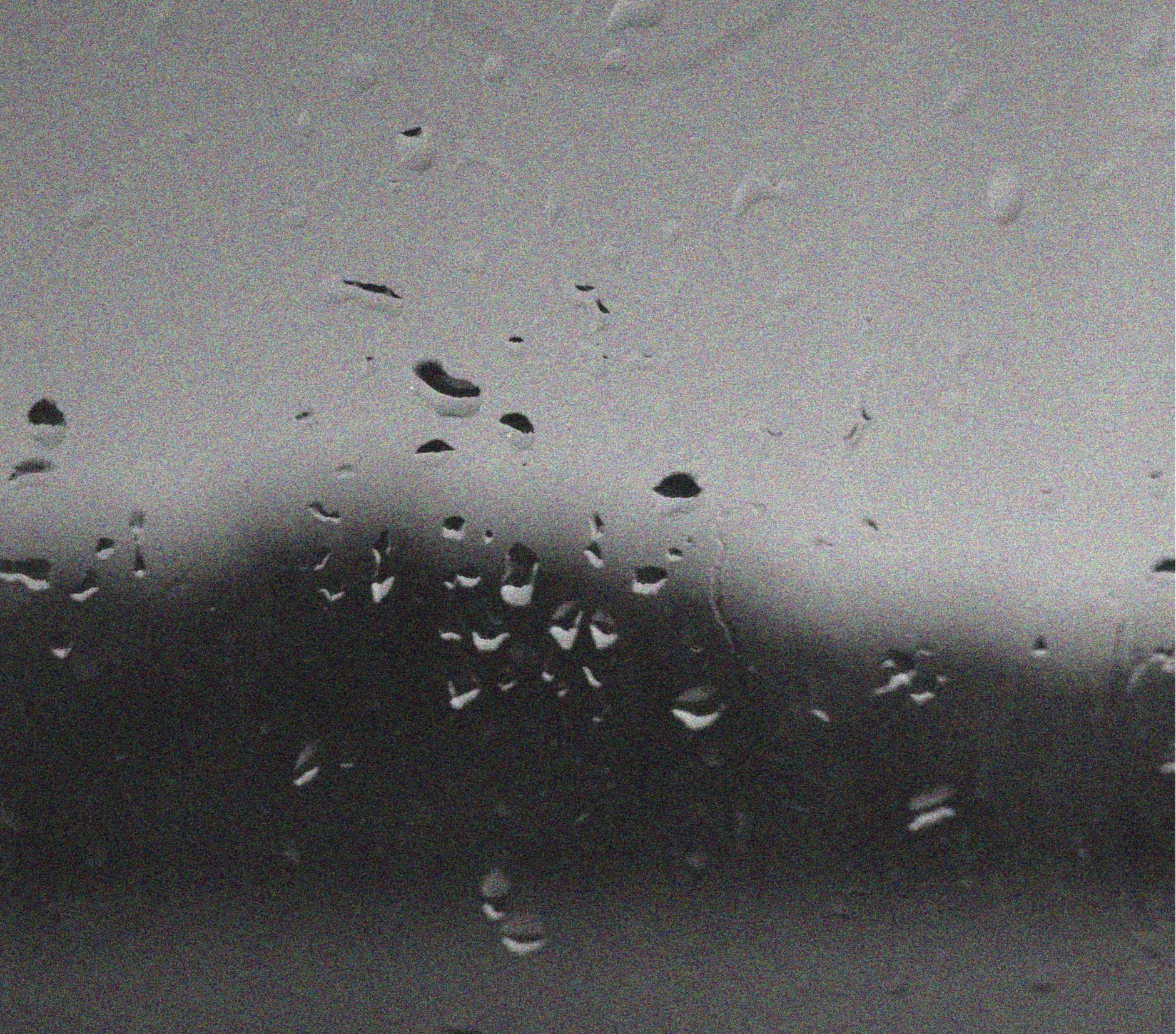 "sing in the rain"
