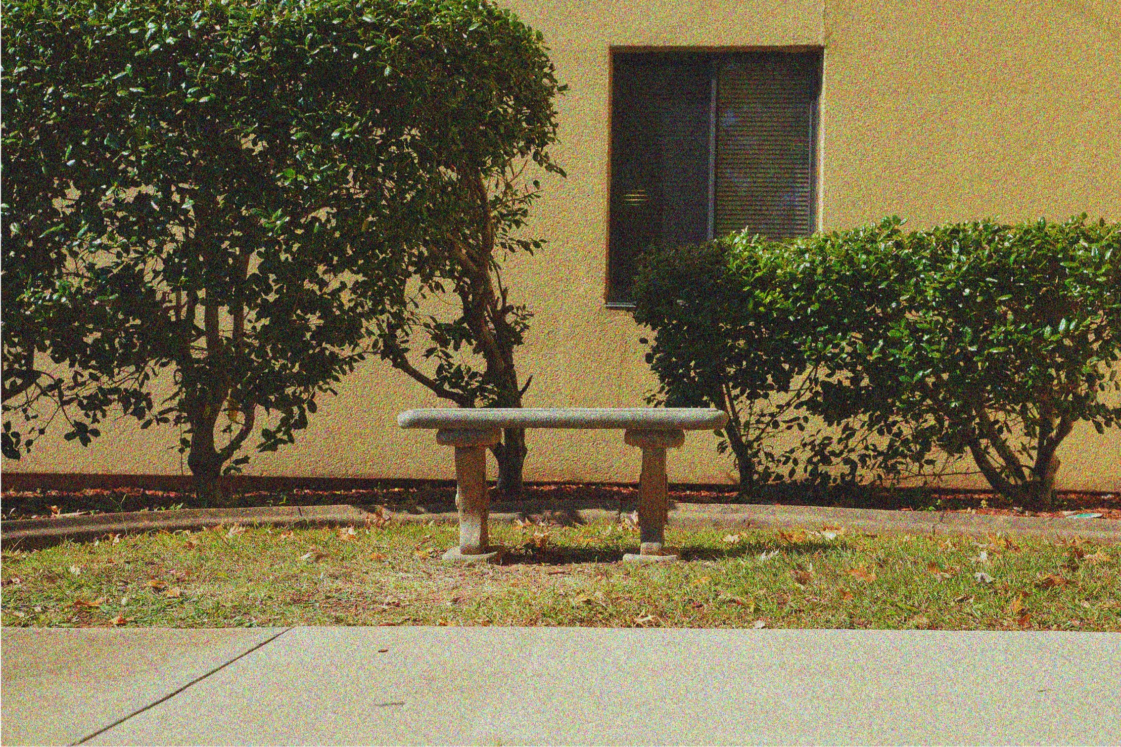 "A Bench Through the Window"
