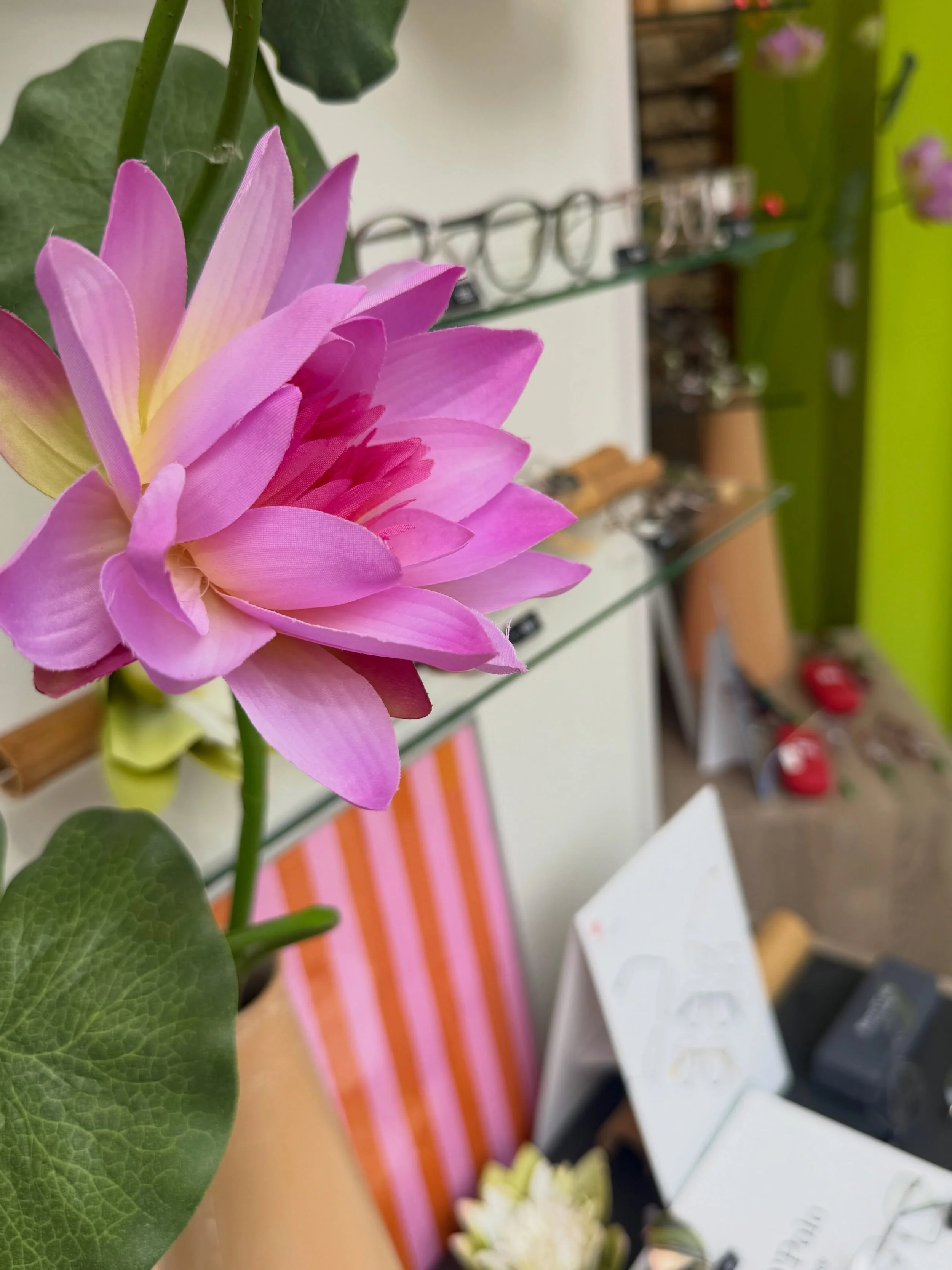 🧡🌸 Sommerfeeling trifft auf klare Sicht. 🌸🧡

Mit zarten Seerosen, frischen Farben und den angesagten Orange-Rosa-Streifen zieht der Sommer ein. ☀️🕶️

Welche Sonnenbrille begleitet dich durch diesen Sommer? 💕✨

#lovemyjob🧡 #decoration # #visual