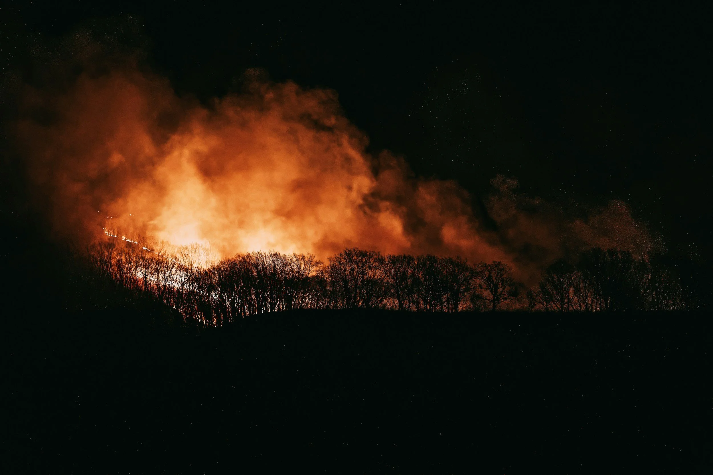 UK wildfires devastated more areas in 2025 than at any time since records began