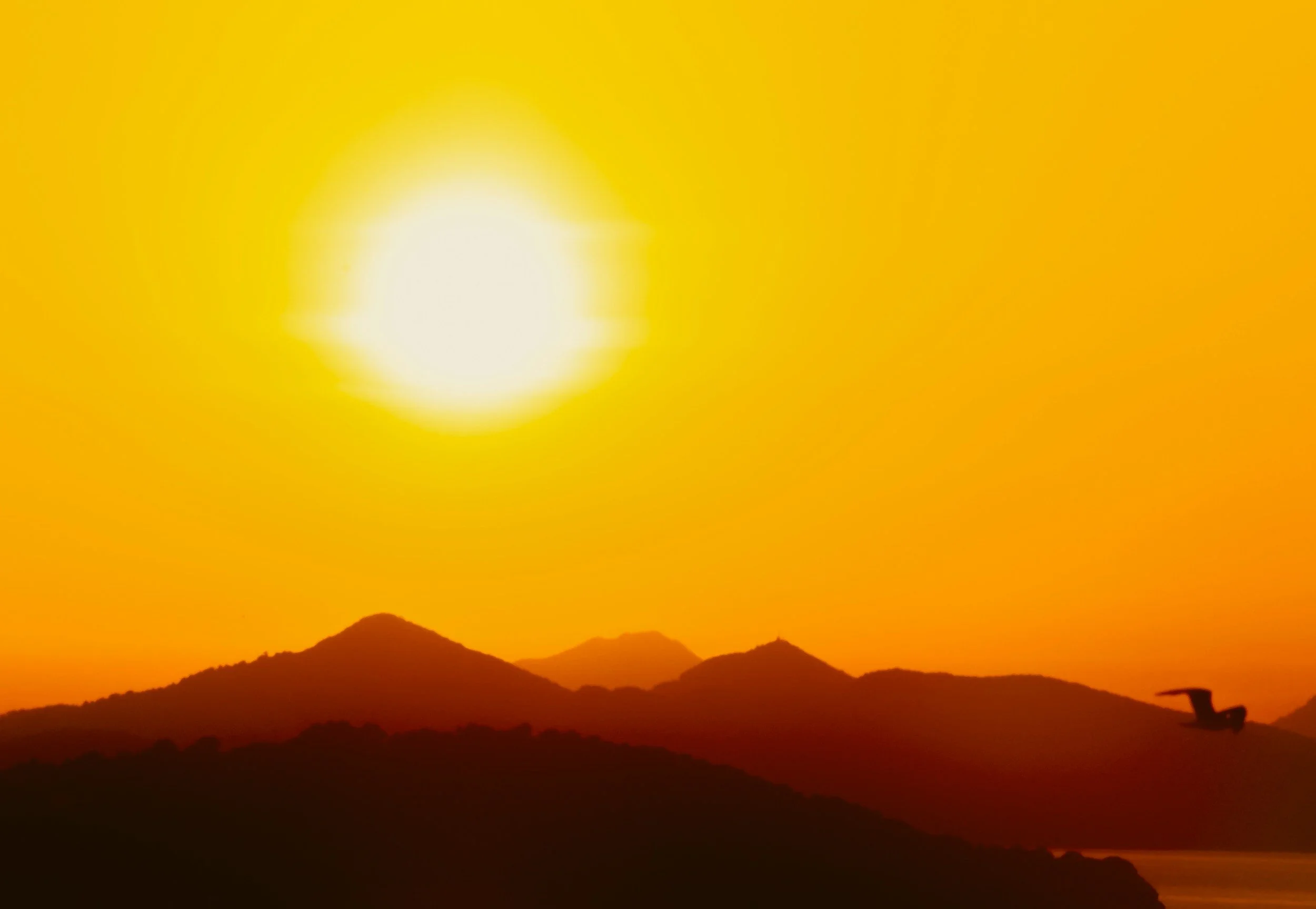 2025 Set to be Second or Third Warmest Year on Record, Continuing Exceptionally High Warming Trend