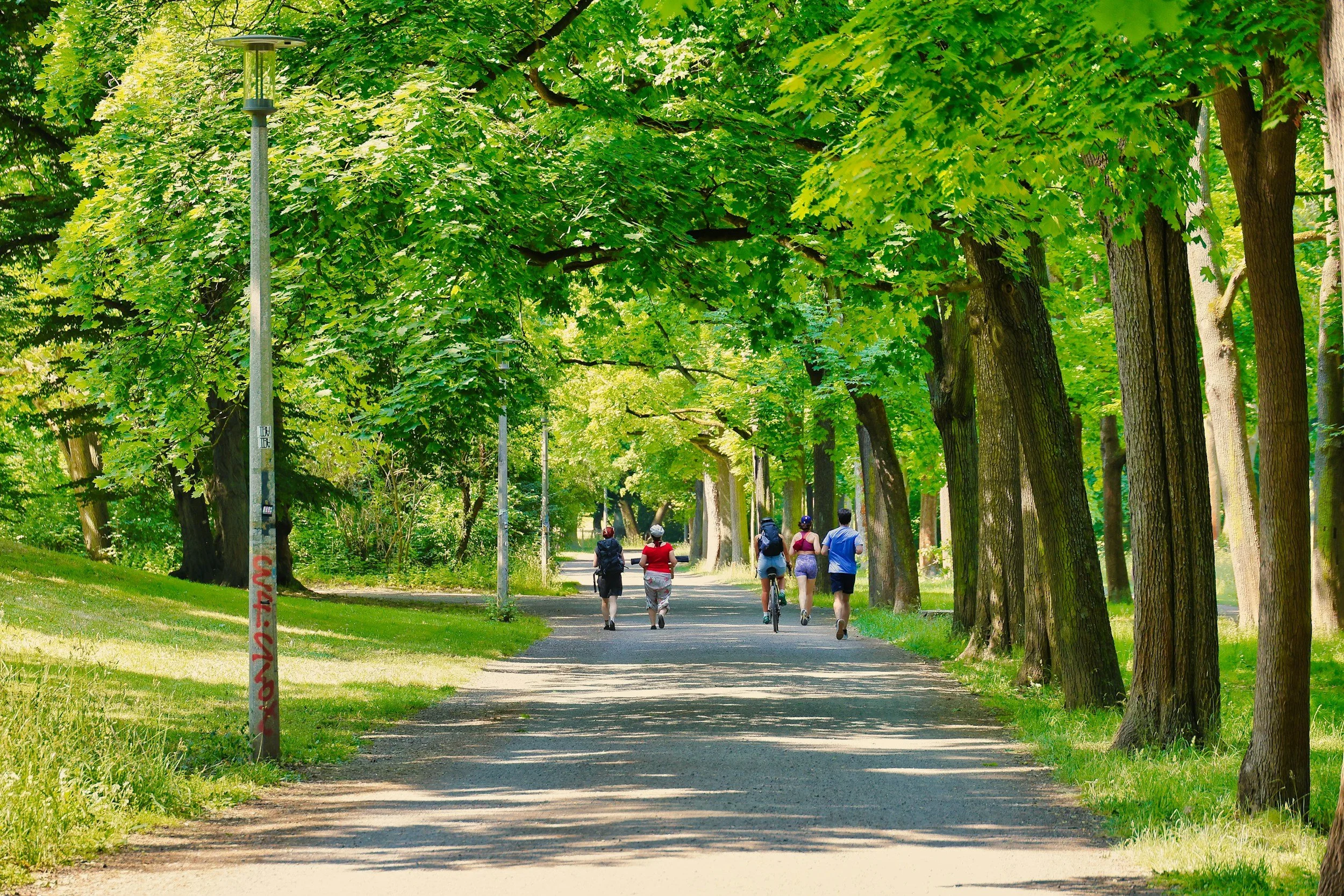 Reduced physical activity due to global heating will lead to rise in health issues, study says.