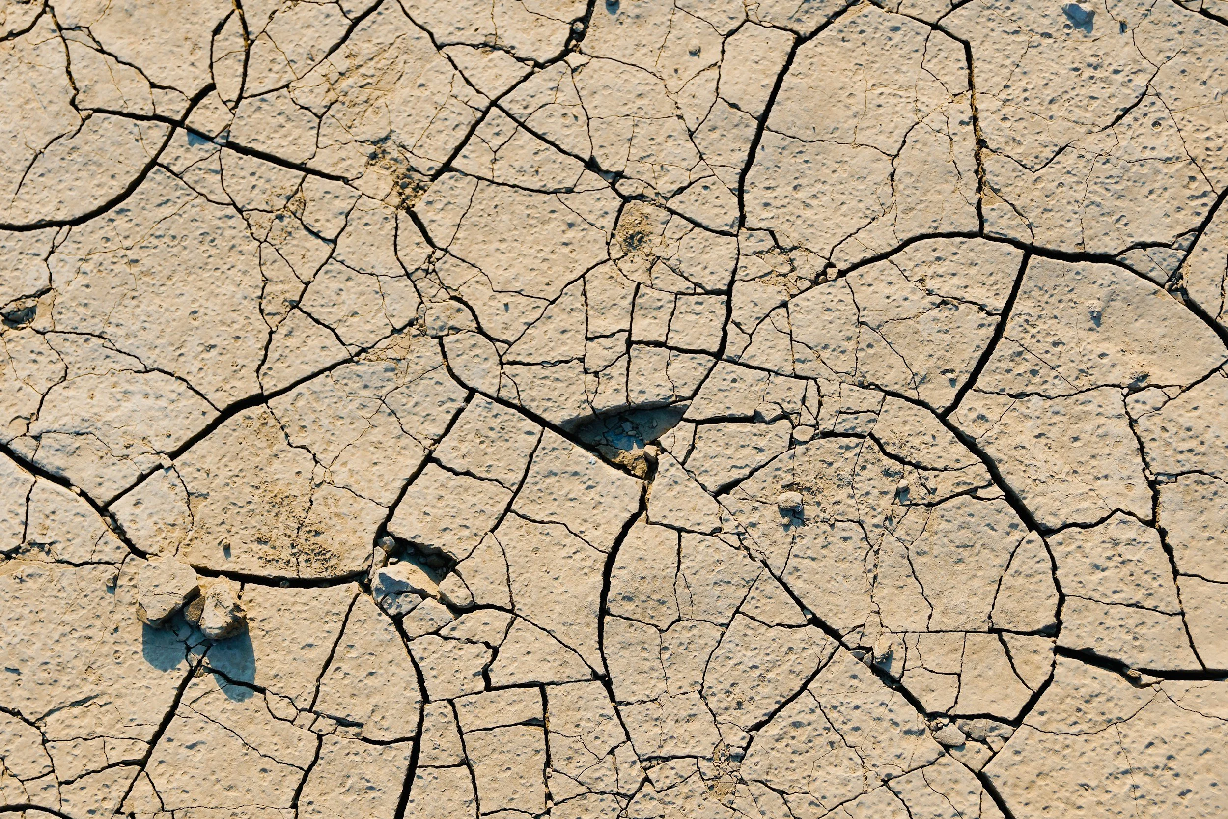 WMO Global Annual to Decadal Climate Update, 2026-2035