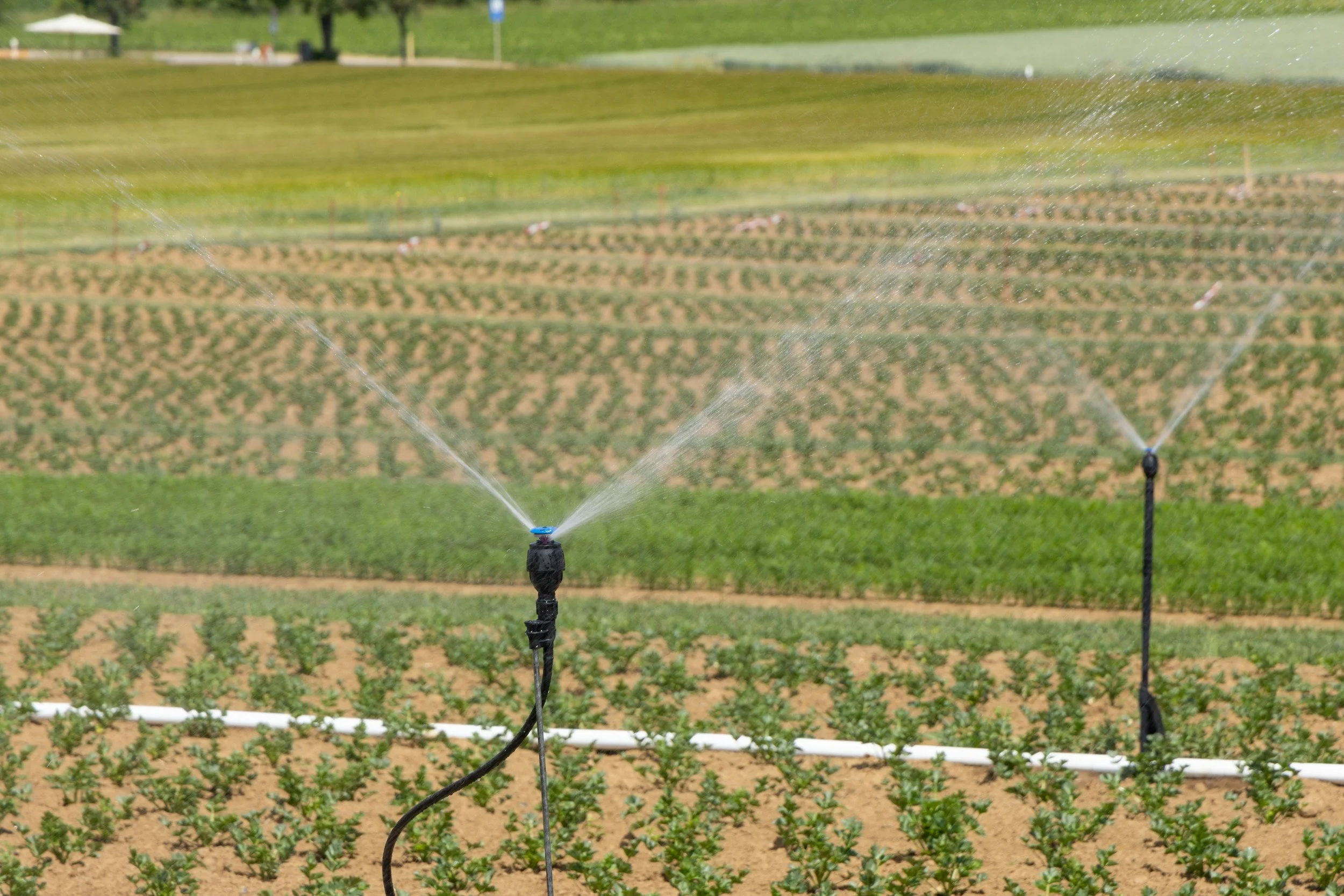 NFU urges urgent action on water resilience as climate threat grows.